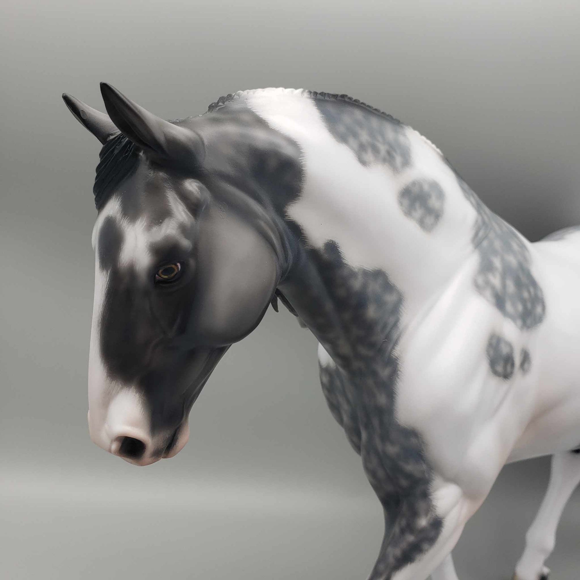 Blaidd OOAK Grey Tobiano Irish Draught By Jess Hamill Best Offer 1/7/24