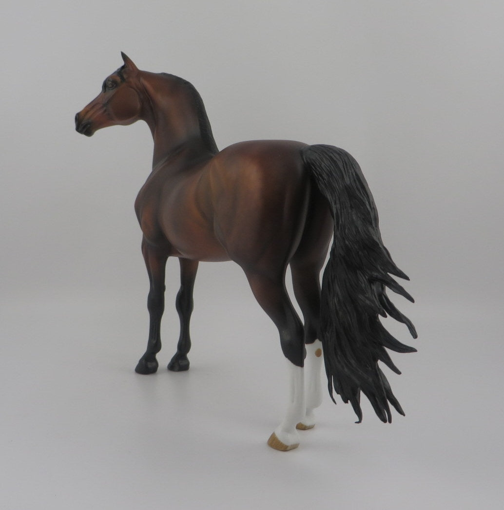 Brandt-OOAK Dapple Bay Morgan EQ 2020