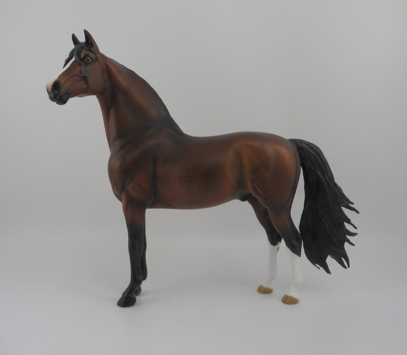 Brandt-OOAK Dapple Bay Morgan EQ 2020