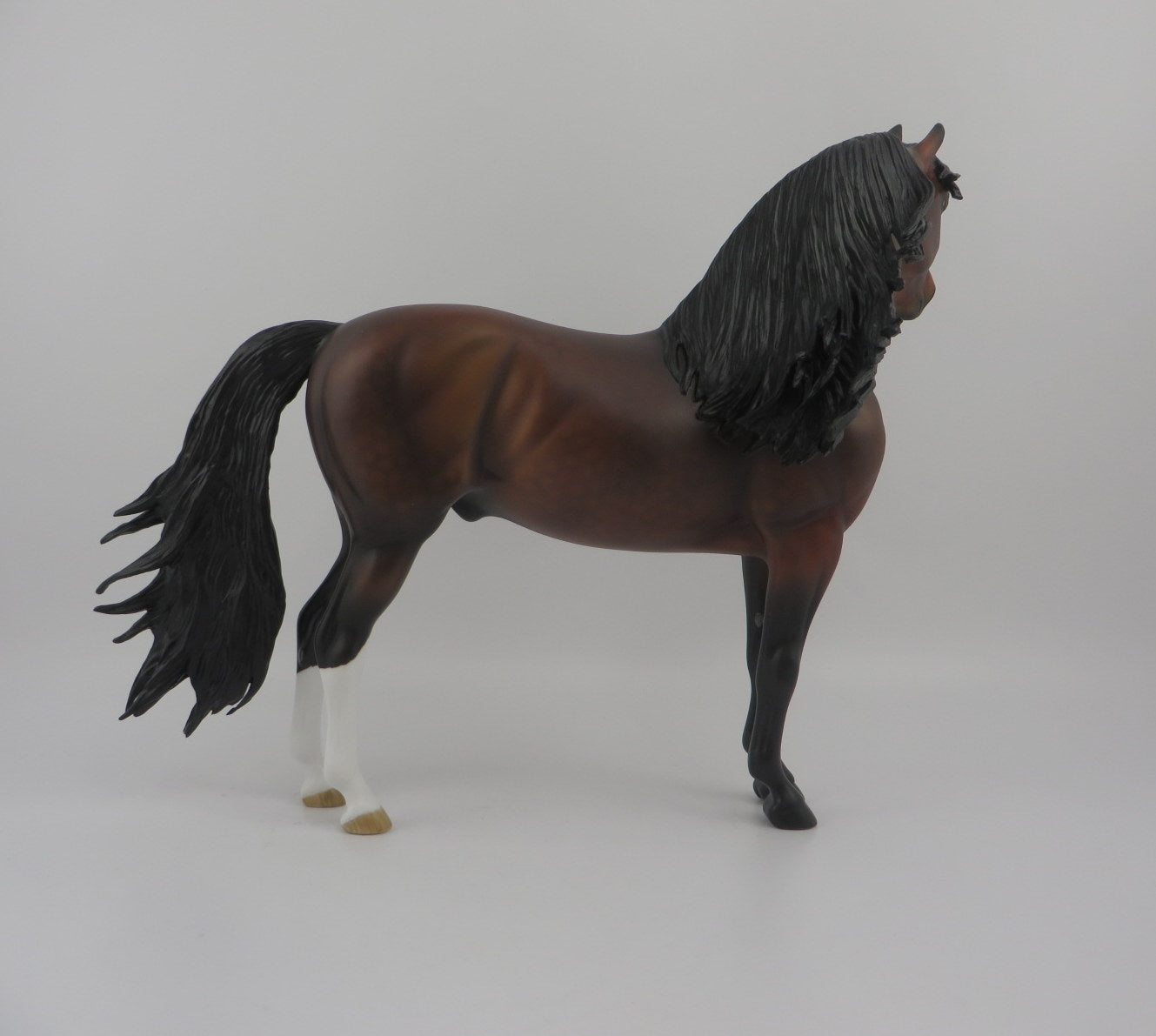 Brandt-OOAK Dapple Bay Morgan EQ 2020