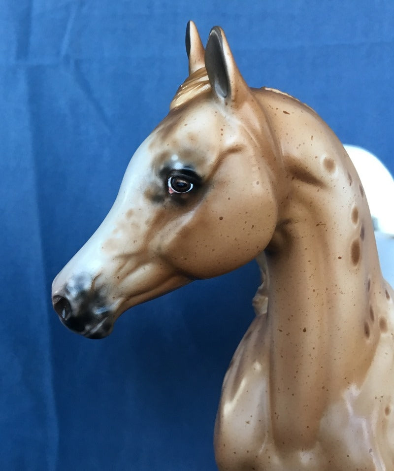 FEAR NOT-OOAK FOUNDATION QUARTER HORSE APPALOOSA BY SHERYL LEISURE 5/22
