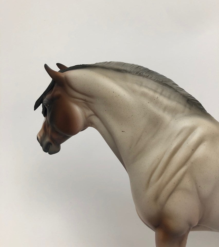 CHARMIN-LE? GOLD LOYALTY BAY ROAN HEAVY DRAFT MARE 5/20