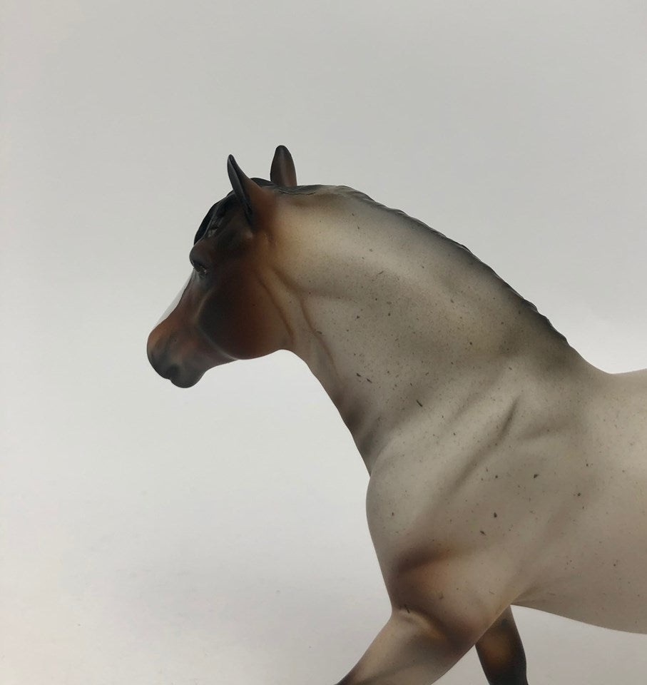 CHARMIN-LE? SILVER LOYALTY CLUB RELEASE BAY ROAN DRAFT PEBBLES!!!!!! 5/20