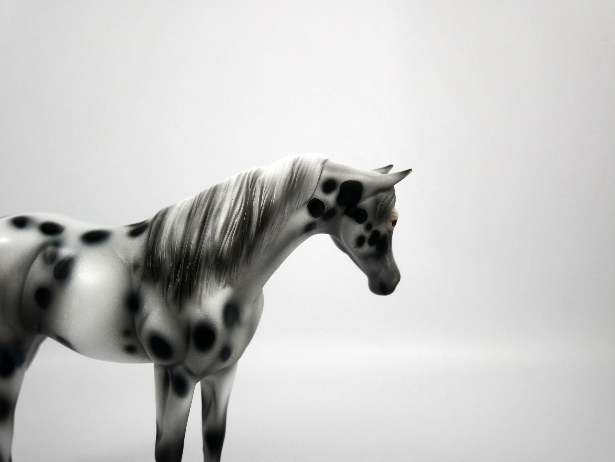 ABBA-OOAK Appaloosa Pebbles Arabian Mare 1/8/21