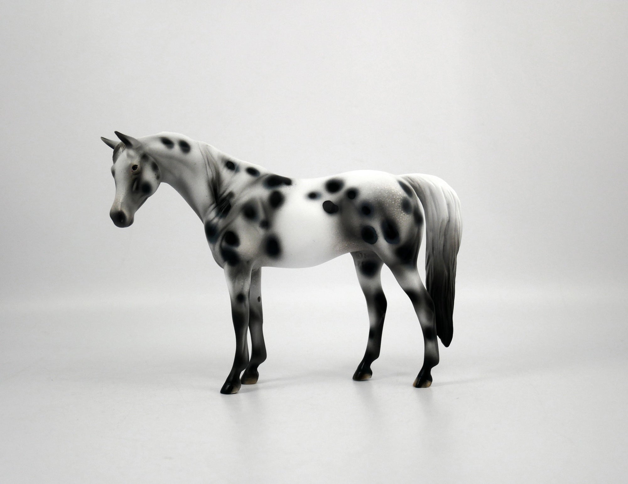 ABBA-OOAK Appaloosa Pebbles Arabian Mare 1/8/21
