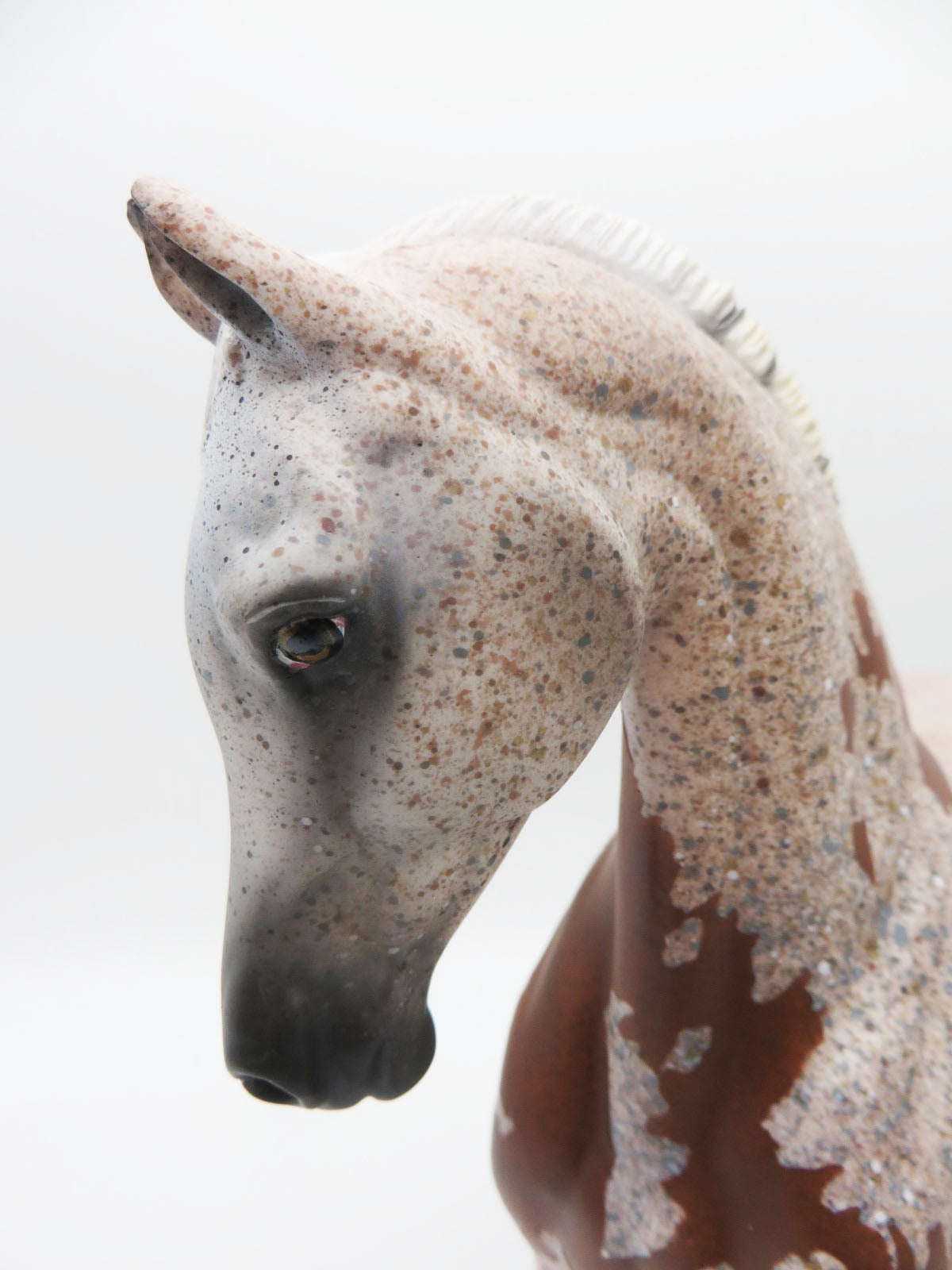 AQIDAH - OOAK FLEA BITTEN GREY WITH BLOODY SHOULDER MARKS Arabian Mare Painted by MYLA PEARCE