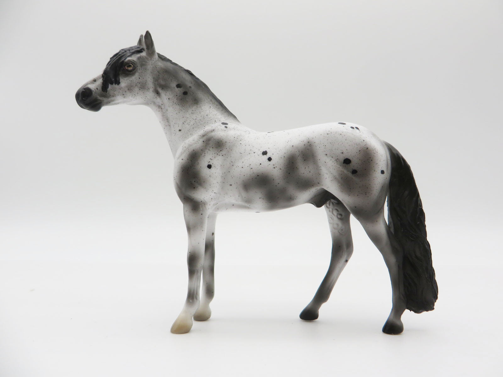 ASHES - OOAK BLACK VARNISH ROAN APPALOOSA ANDALUSIAN CHIP BY ASHLEY PALMER LHS 22