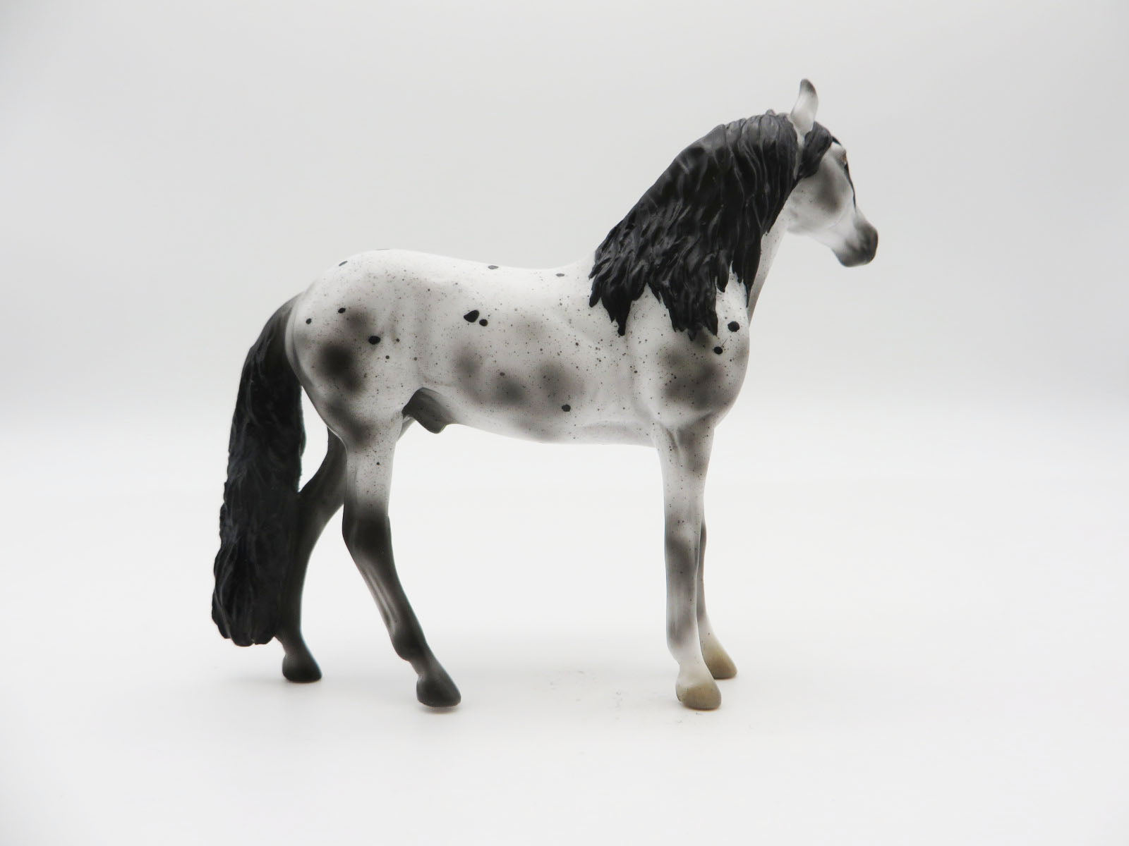 ASHES - OOAK BLACK VARNISH ROAN APPALOOSA ANDALUSIAN CHIP BY ASHLEY PALMER LHS 22