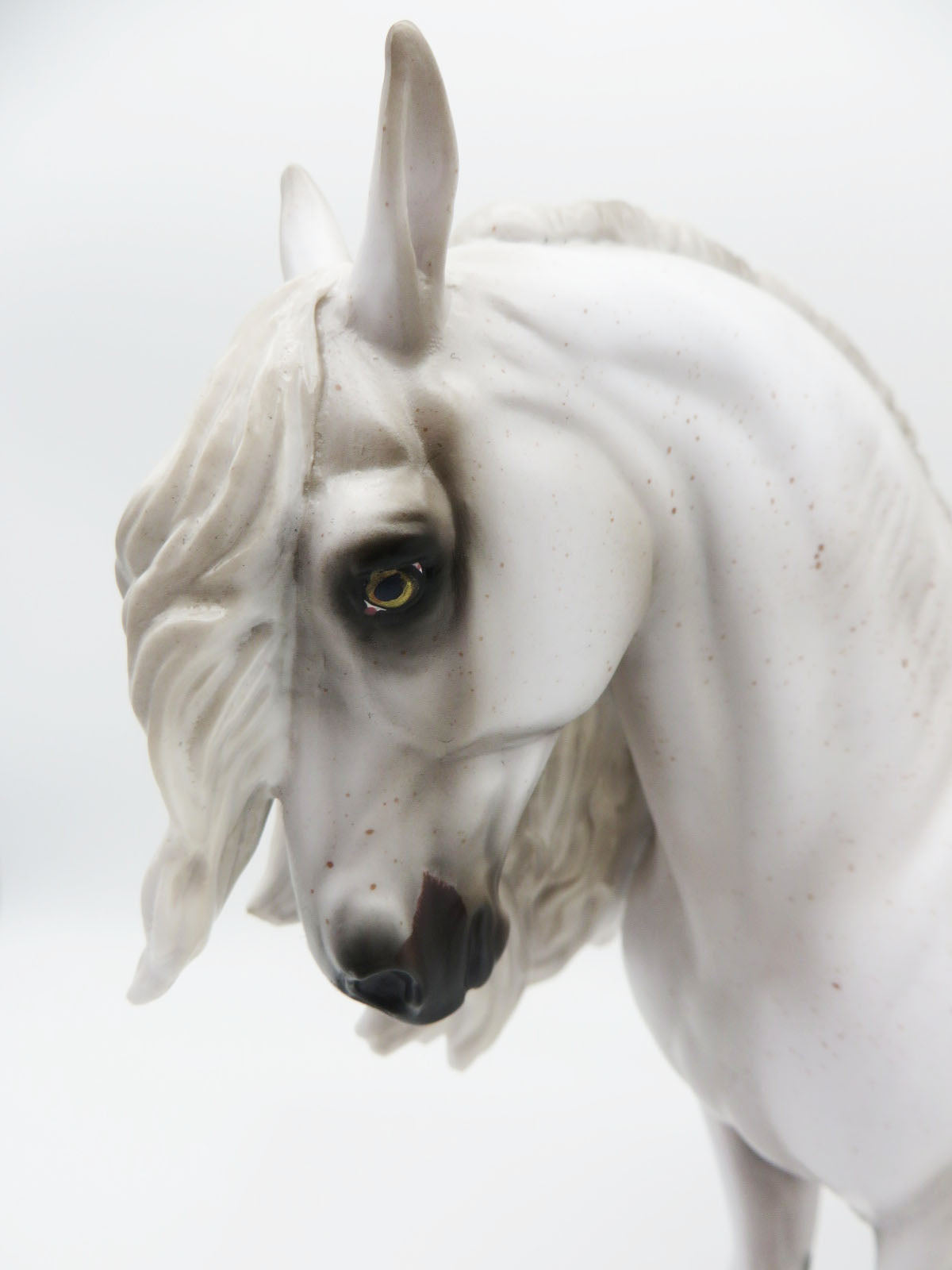 Azazel - OOAK - BEST OFFER - Custom Andalusian by Ashley Palmer - MM22 #16