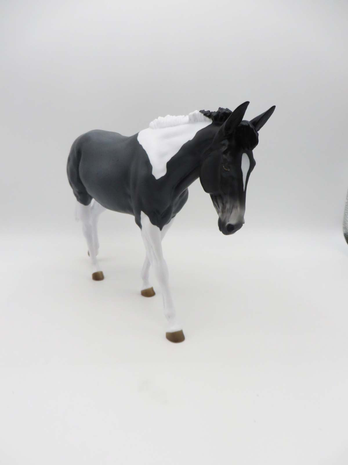 Abigail LE 5 Blue Roan Tobiano Mule By Angela Marleau SHCF23