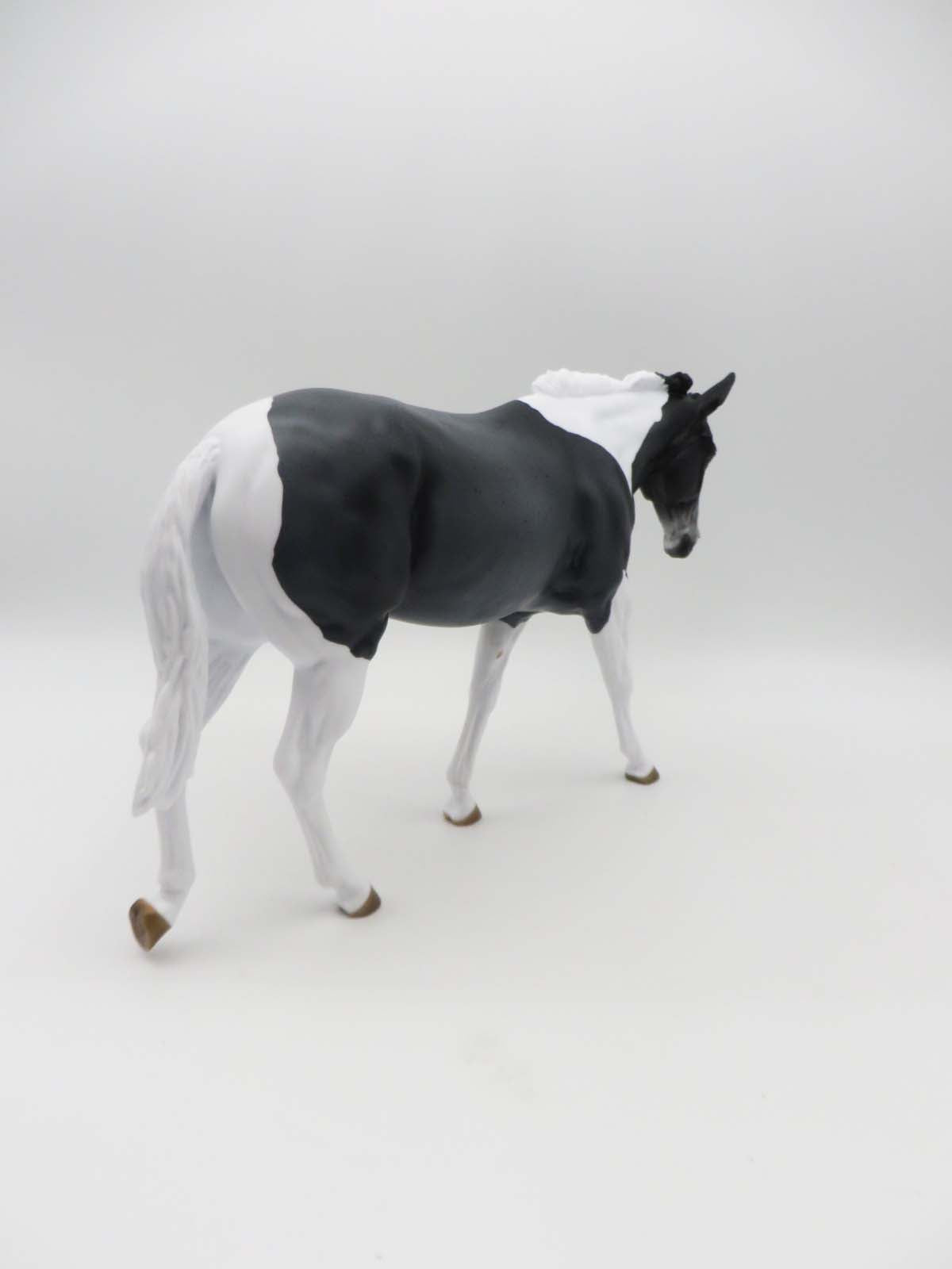 Abigail LE 5 Blue Roan Tobiano Mule By Angela Marleau SHCF23