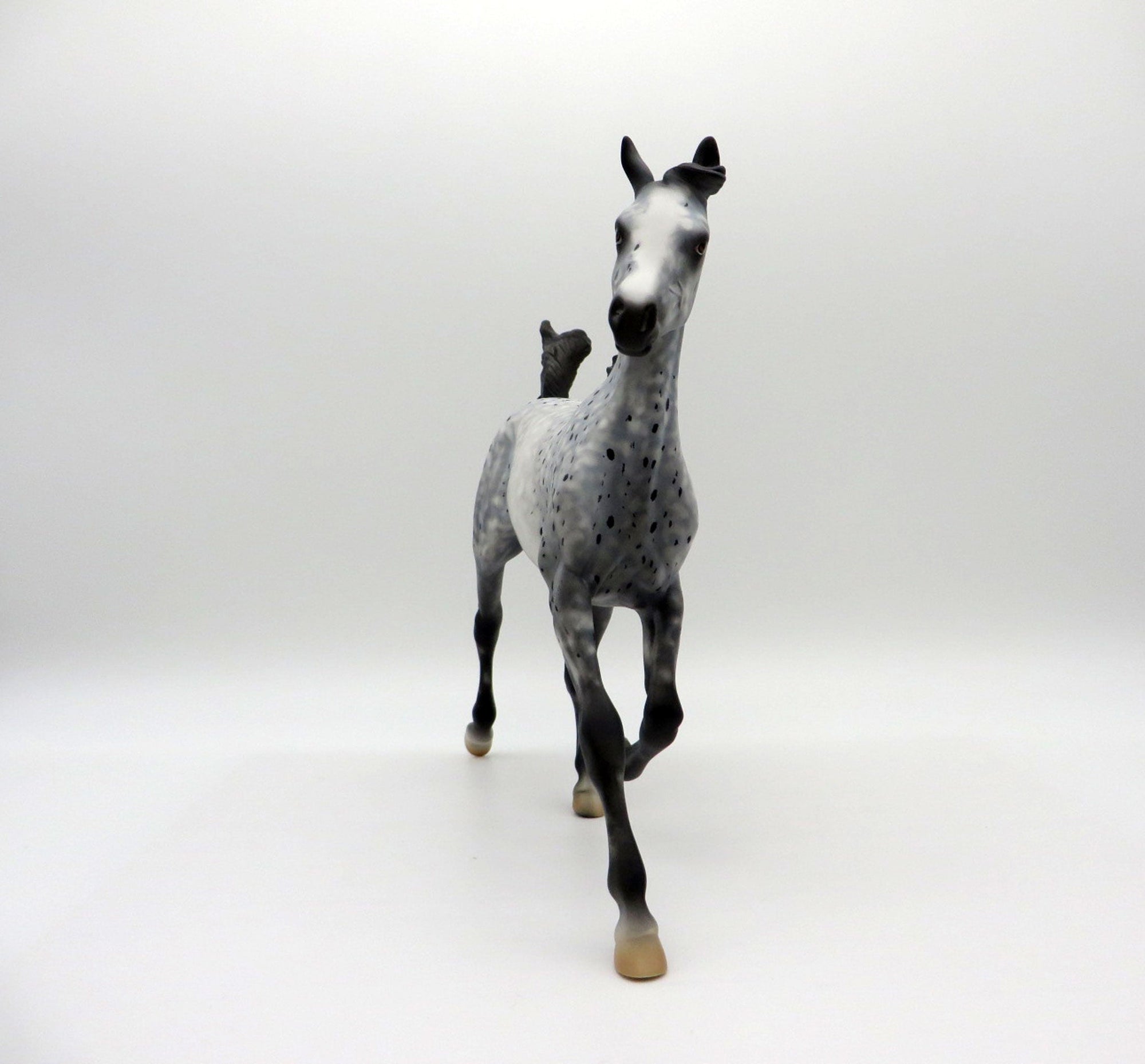Abolone-OOAK Appaloosa Yearling Equilocity 2021 Painted by Al