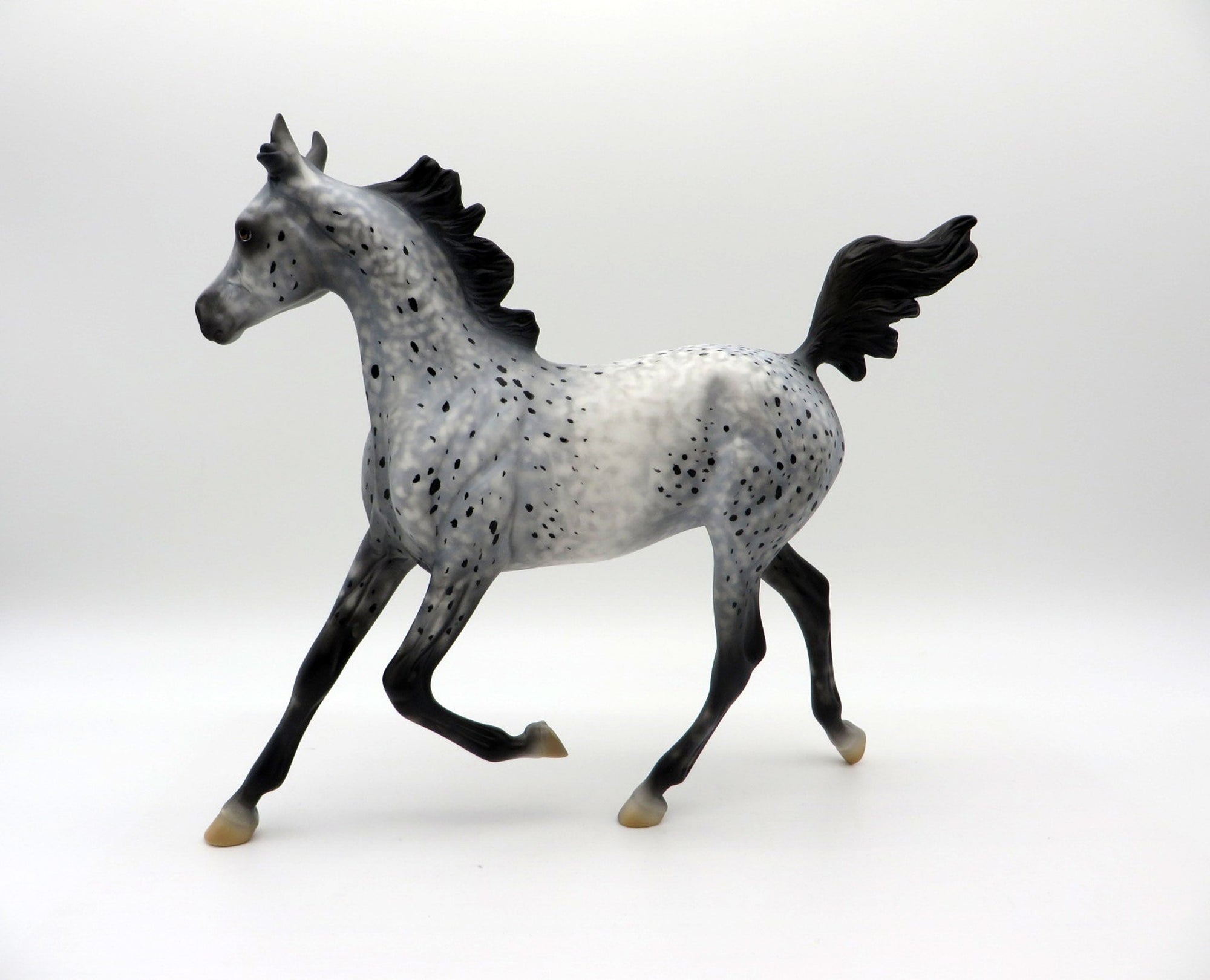 Abolone-OOAK Appaloosa Yearling Equilocity 2021 Painted by Al