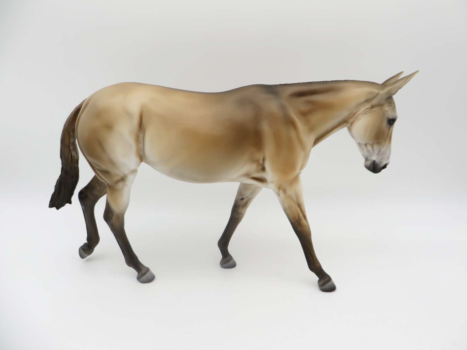 Abyss - OOAK - Dun Mule By Jess Hamill - P&C 23