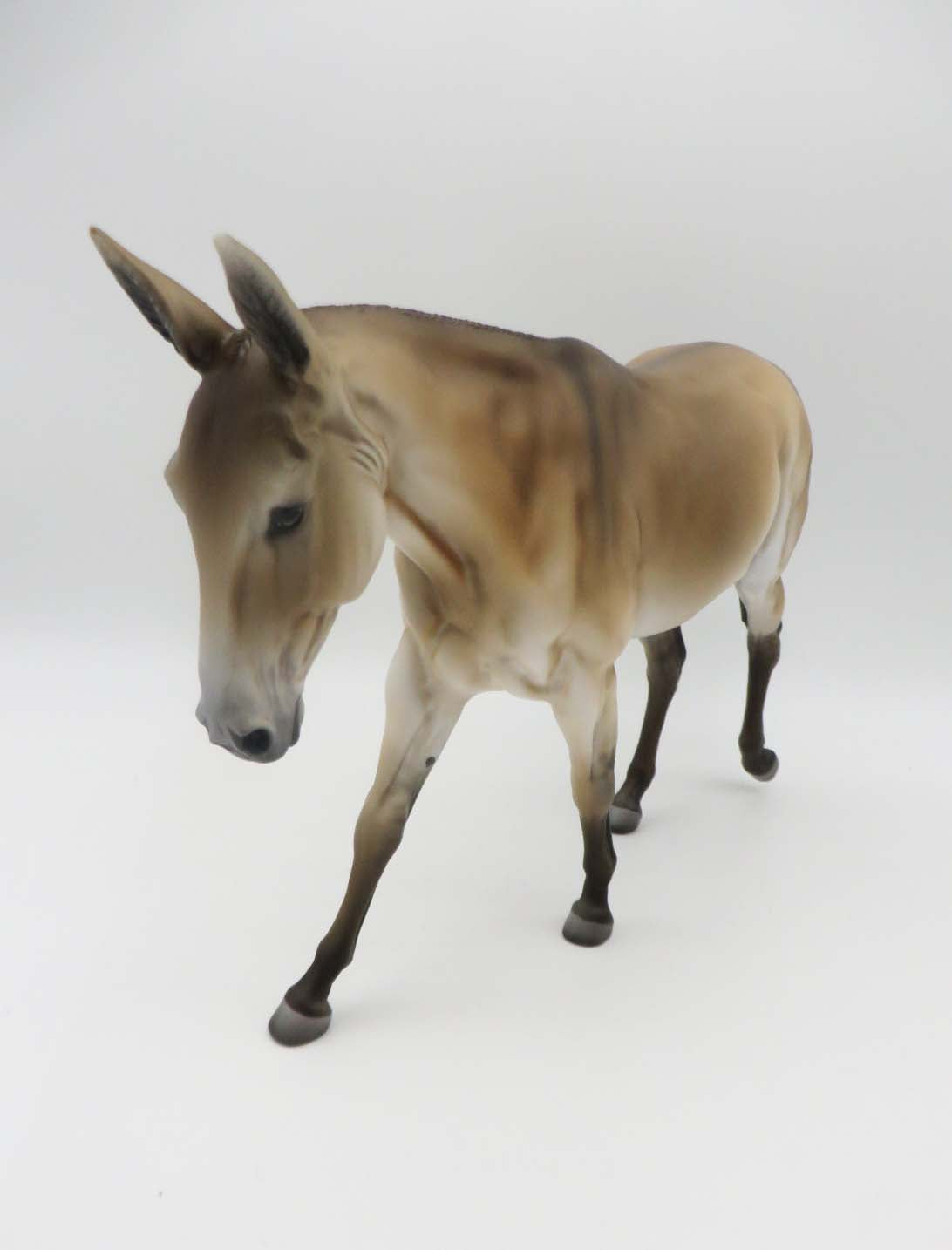 Abyss - OOAK - Dun Mule By Jess Hamill - P&C 23