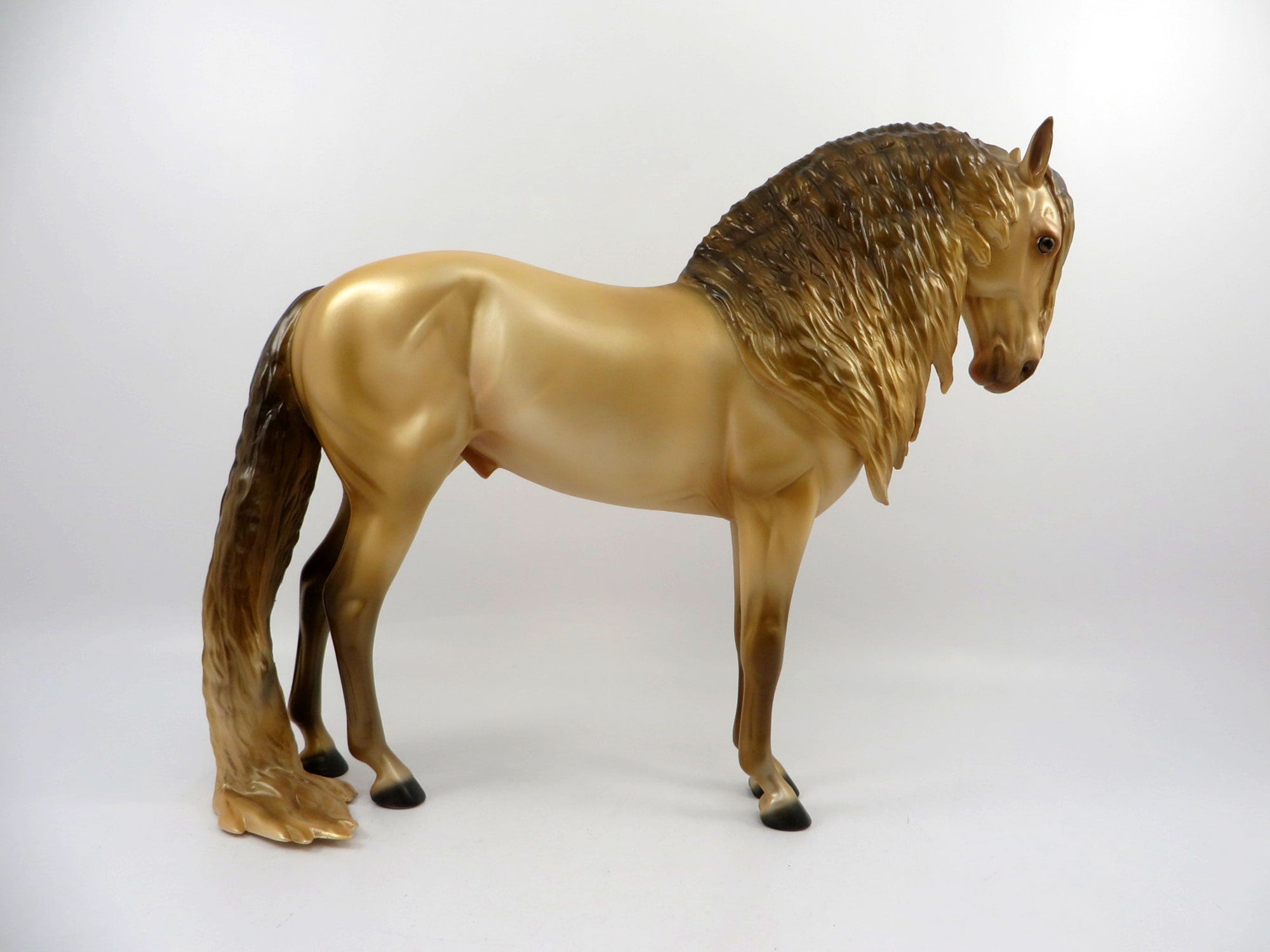 Accolade-OOAK Champagne Andalusian Bingo 3/21