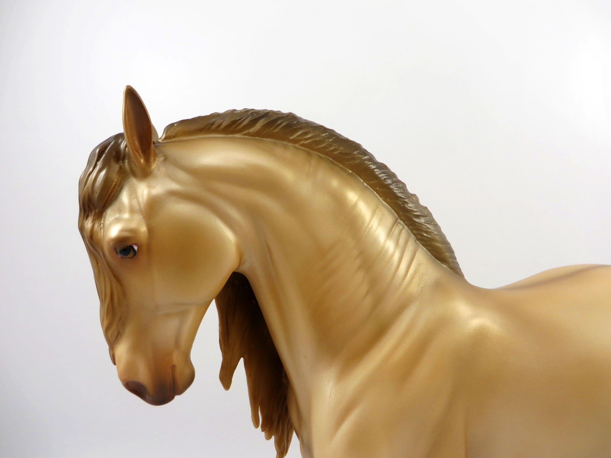 Accolade-OOAK Champagne Andalusian Bingo 3/21