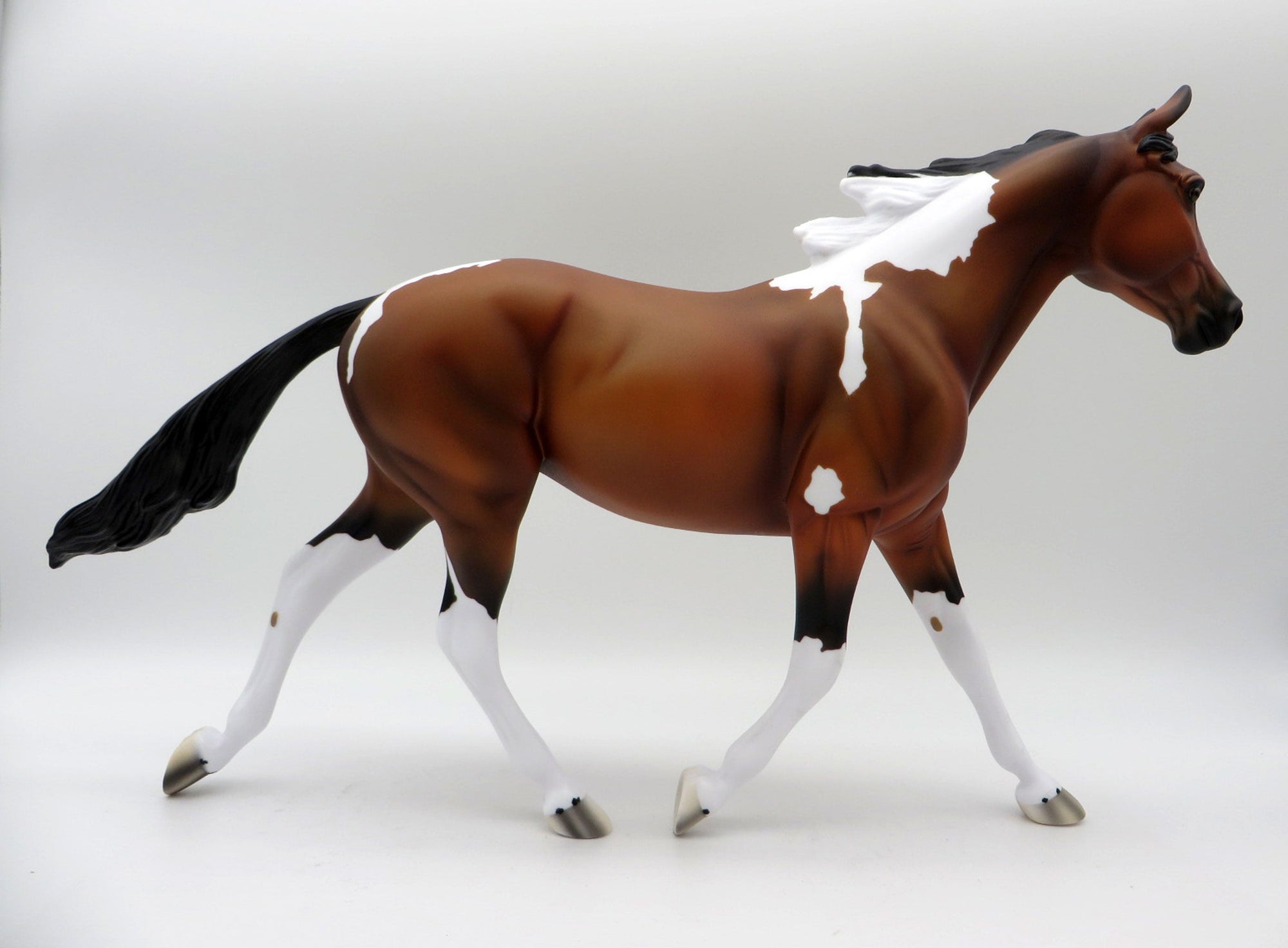 Aeolin-LE-5 Bay Paint Palouse 5/21/21