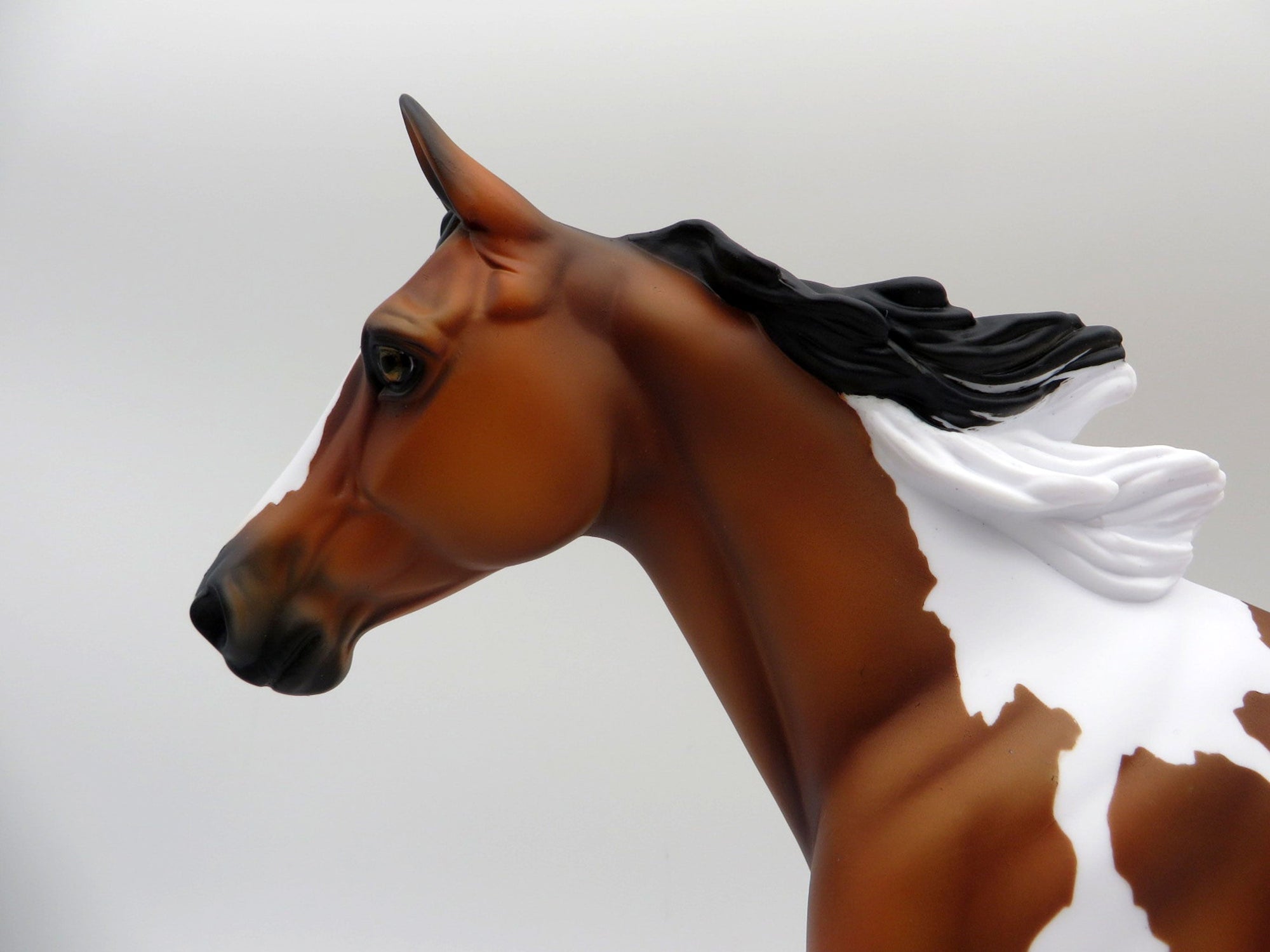 Aeolin-LE-5 Bay Paint Palouse 5/21/21