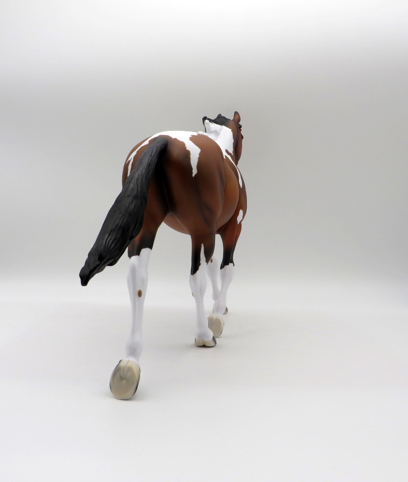 Aeolin-LE-5 Bay Paint Palouse 5/21/21