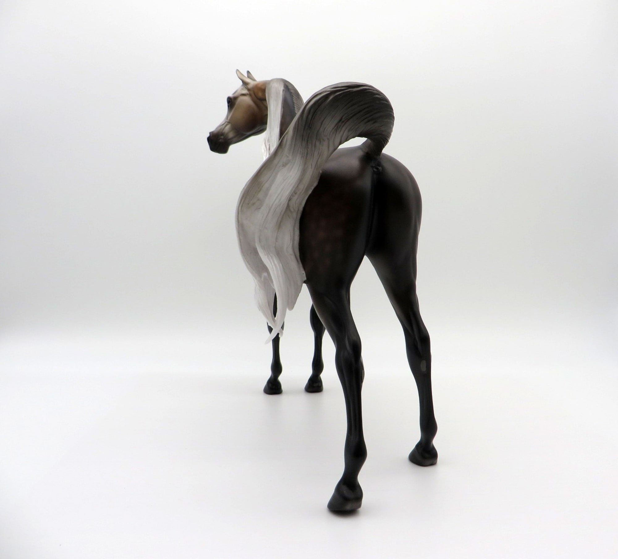 Aeryn-OOAK Rose Grey Arabian 3/29/21