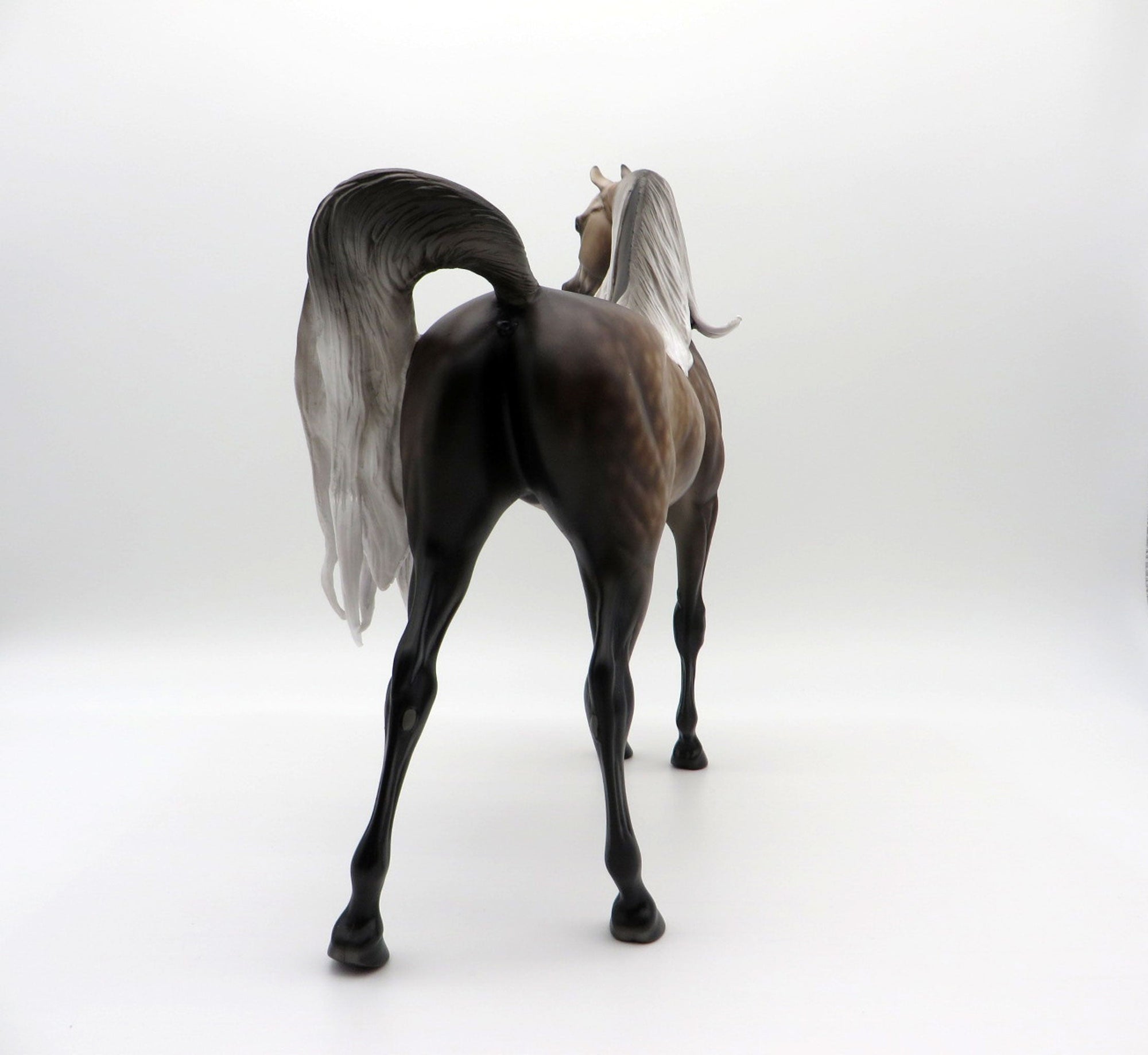 Aeryn-OOAK Rose Grey Arabian 3/29/21