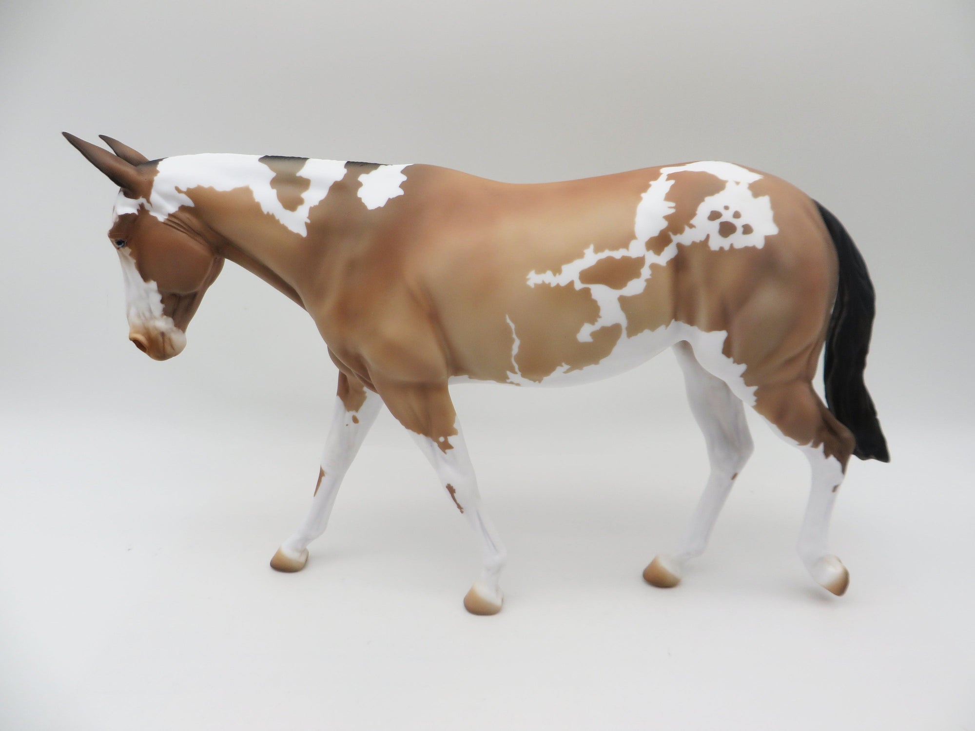 Aggie OOAK Pinto Mule By Donna Fredley SHCF 23