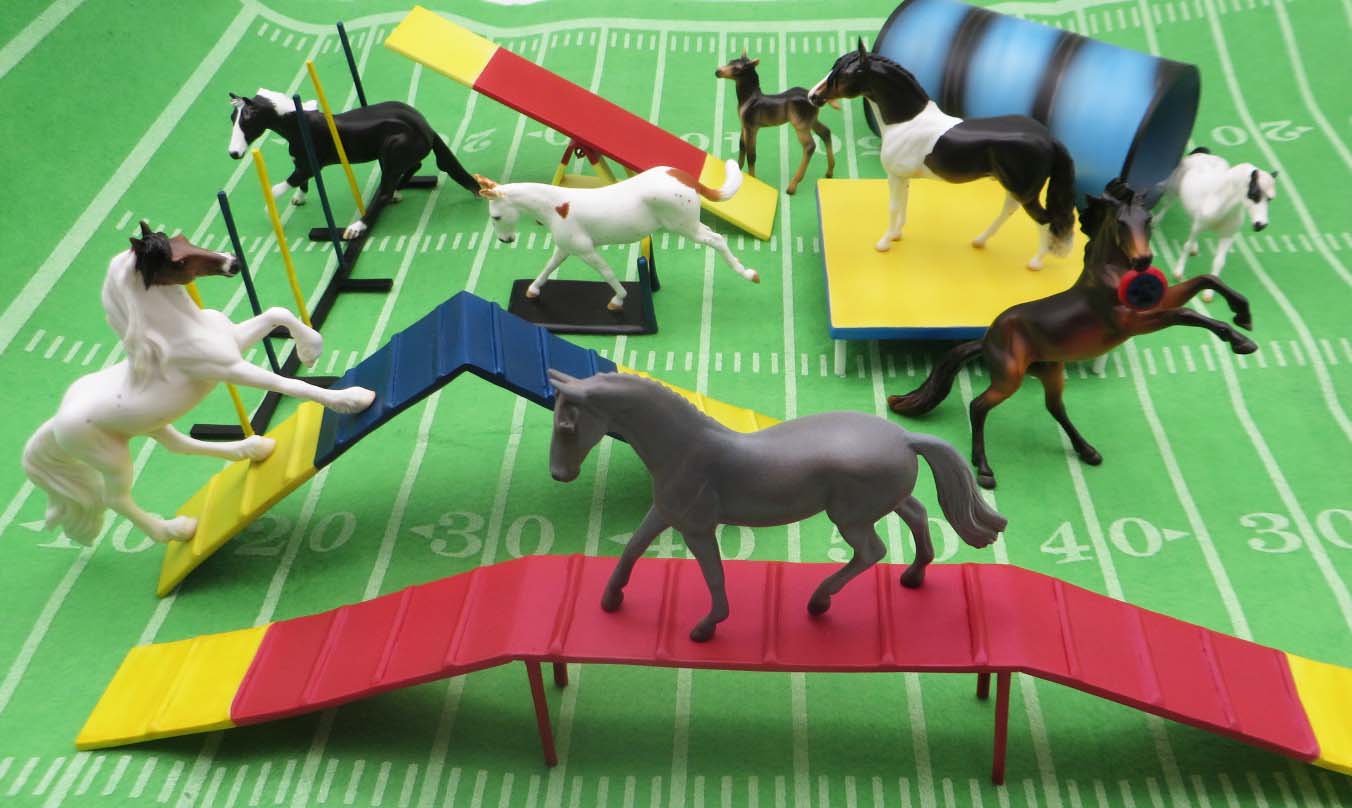 Paws & Claws 2023 Agility Set - Chip and Accessories Set by Stone Artists - Best Offers Paws & Claws 2023 - P&C 23