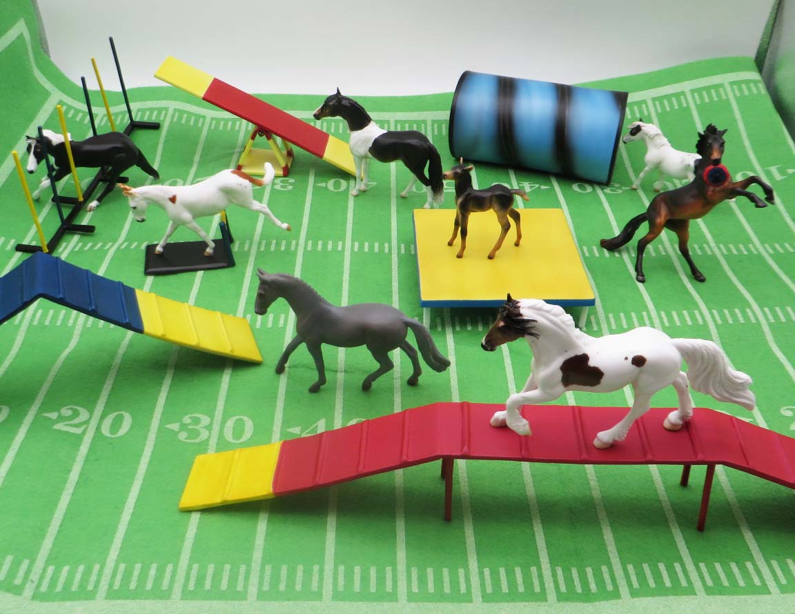 Paws & Claws 2023 Agility Set - Chip and Accessories Set by Stone Artists - Best Offers Paws & Claws 2023 - P&C 23