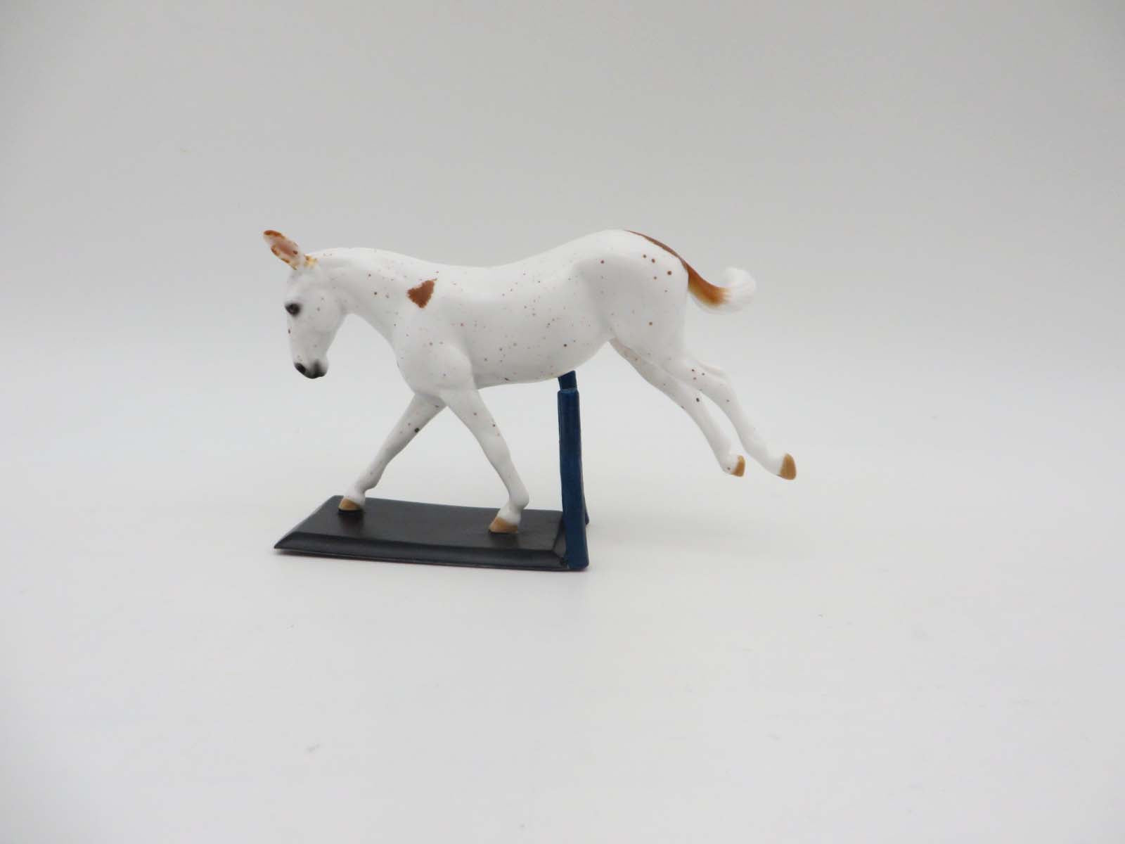 Paws & Claws 2023 Agility Set - Chip and Accessories Set by Stone Artists - Best Offers Paws & Claws 2023 - P&C 23