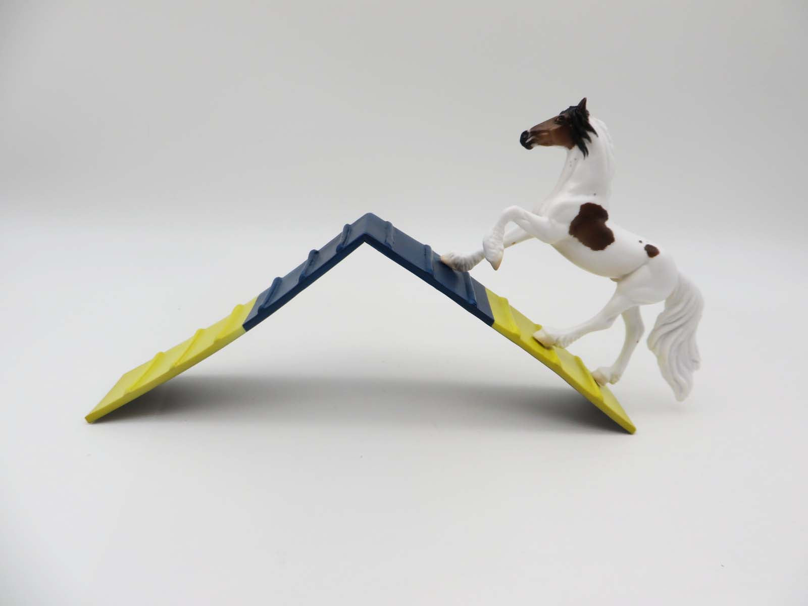 Paws & Claws 2023 Agility Set - Chip and Accessories Set by Stone Artists - Best Offers Paws & Claws 2023 - P&C 23