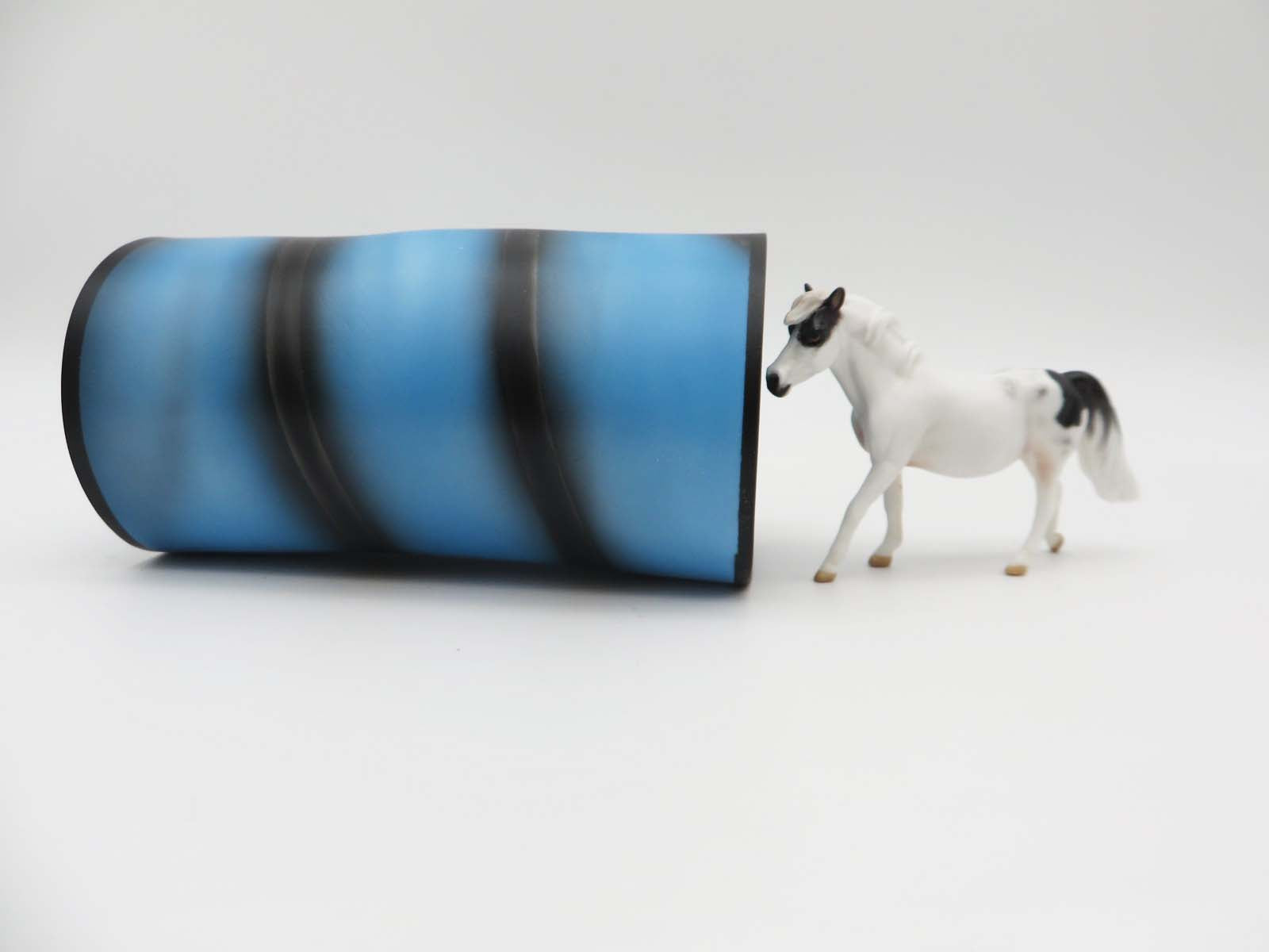 Paws & Claws 2023 Agility Set - Chip and Accessories Set by Stone Artists - Best Offers Paws & Claws 2023 - P&C 23