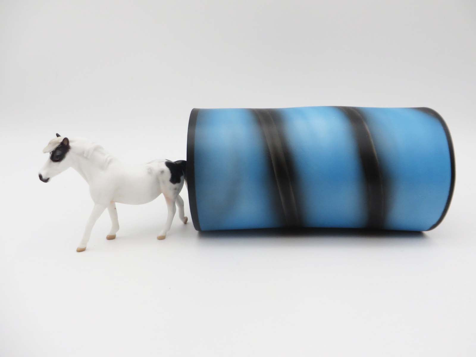 Paws & Claws 2023 Agility Set - Chip and Accessories Set by Stone Artists - Best Offers Paws & Claws 2023 - P&C 23