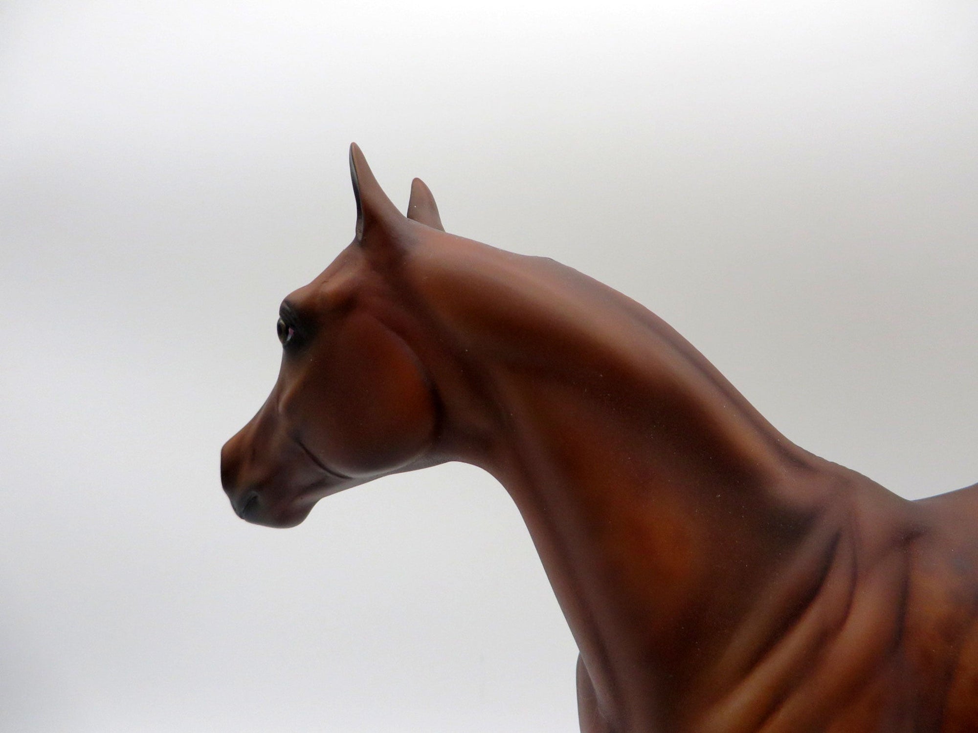 Ajax-OOAK Reversed Dapple Chestnut ISH Painted By Audrey Dixon 5/28/21