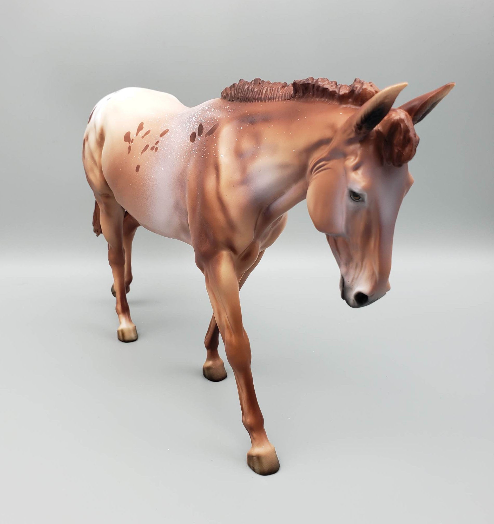 Alfalfa - LE30 - Chestnut Appaloosa Mule By Dawn Quick EQ23