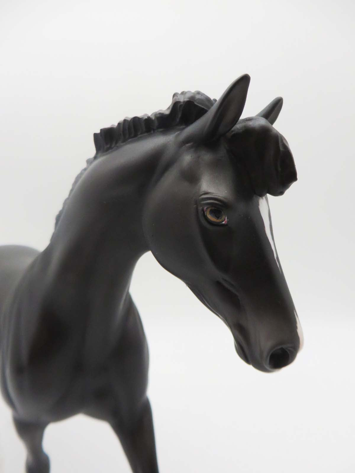 All I See Is You OOAK Dappled Shaded Black Pony By Jess Hamill SHCF23