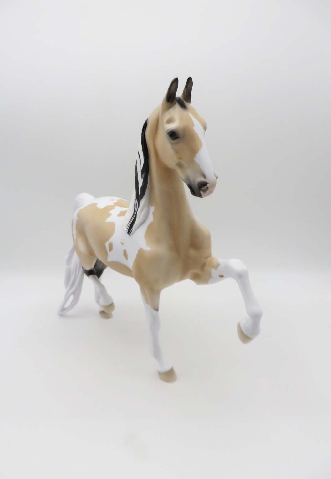 All Over Again OOAK Buckskin Tobiano Saddlebred By Ellen Robbins SHCF23