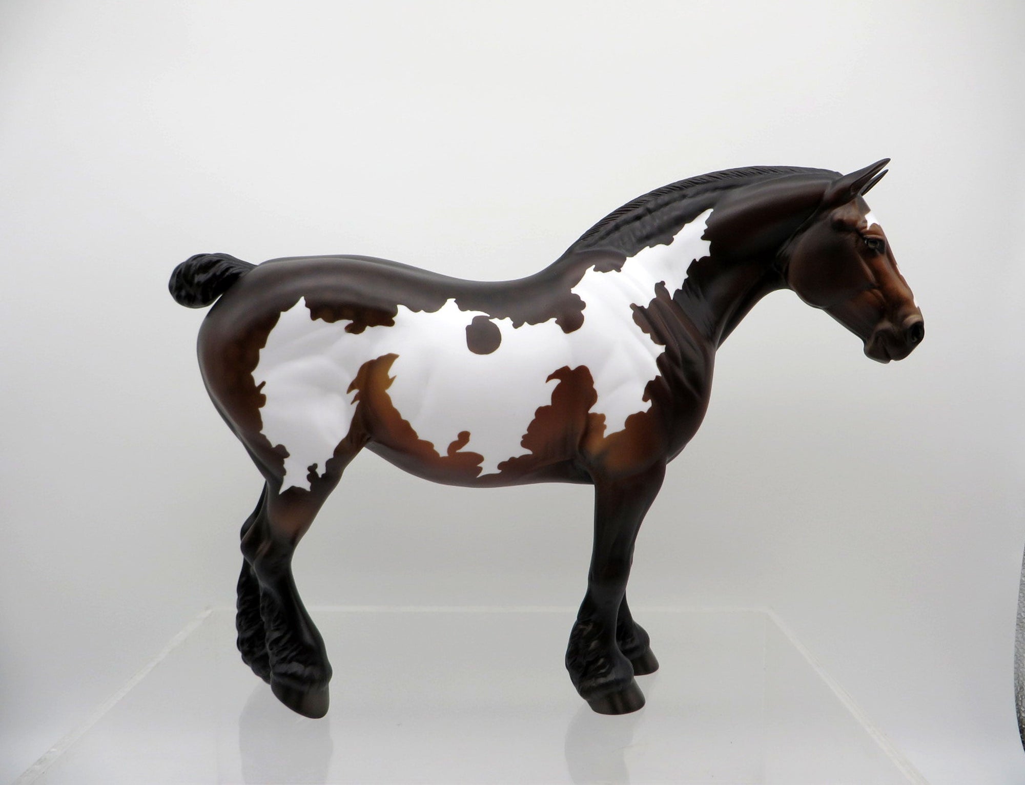 Allium-OOAK Bay Heavy Drafter Mare SHCF 2021