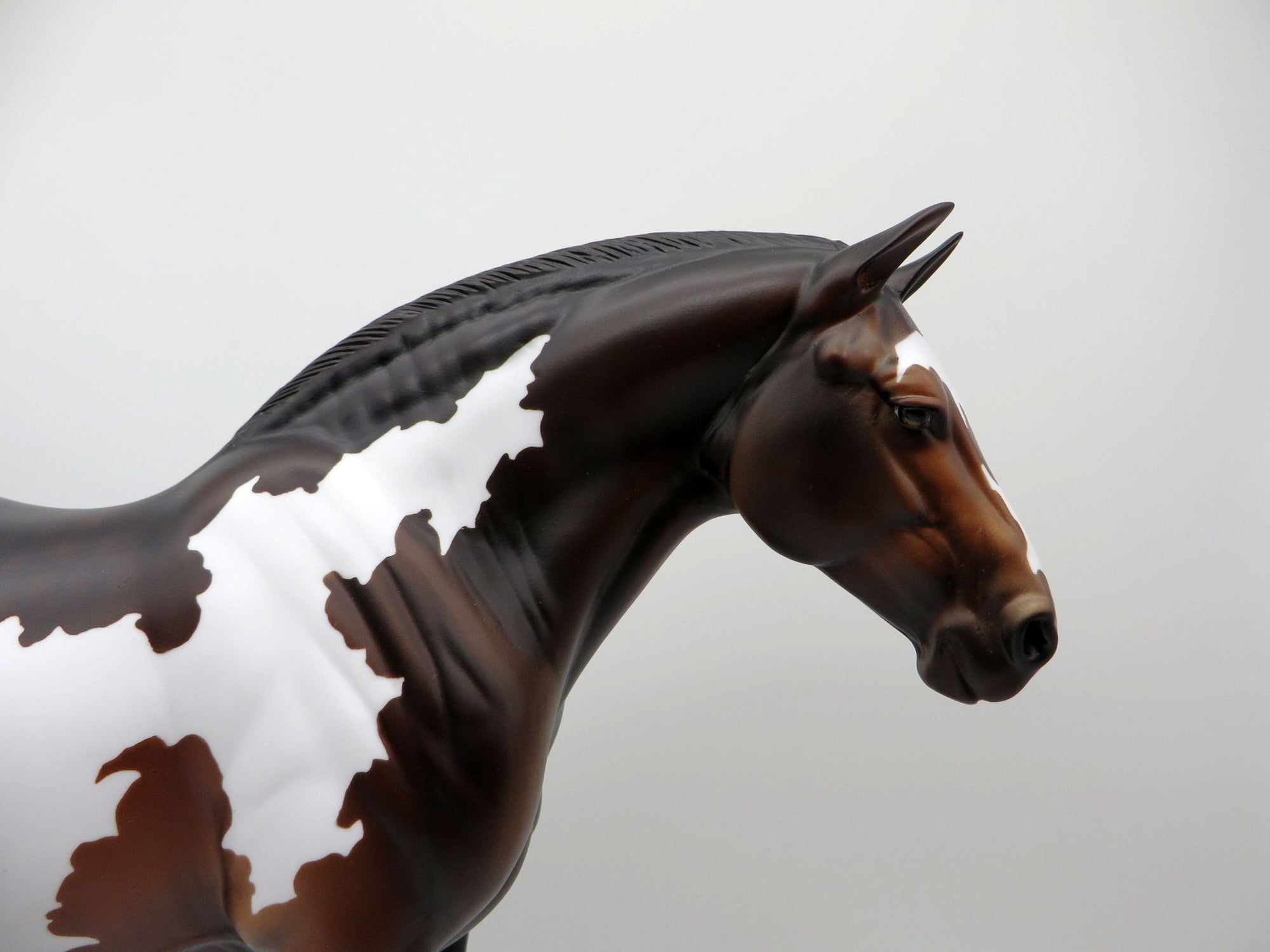 Allium-OOAK Bay Heavy Drafter Mare SHCF 2021