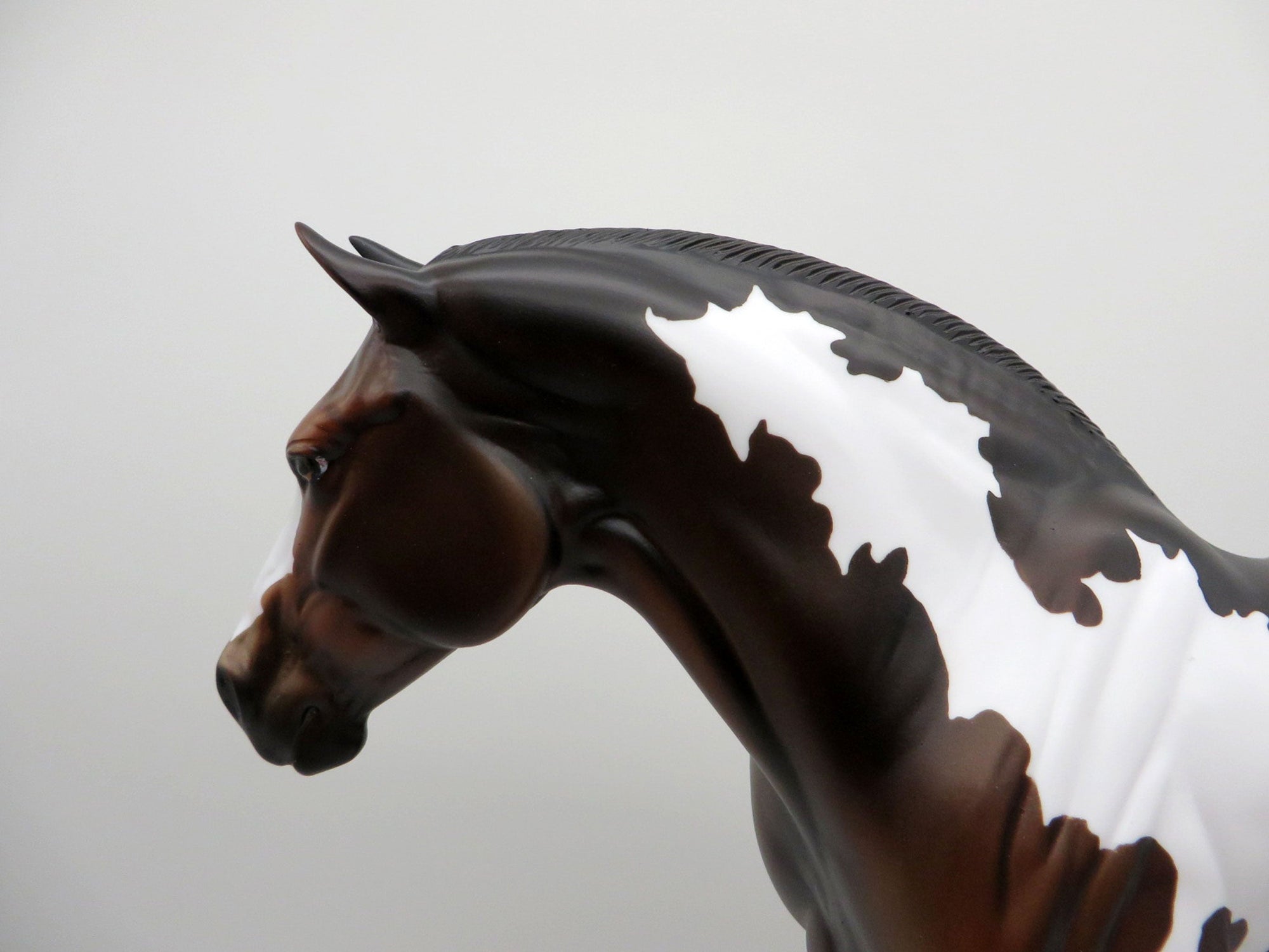 Allium-OOAK Bay Heavy Drafter Mare SHCF 2021