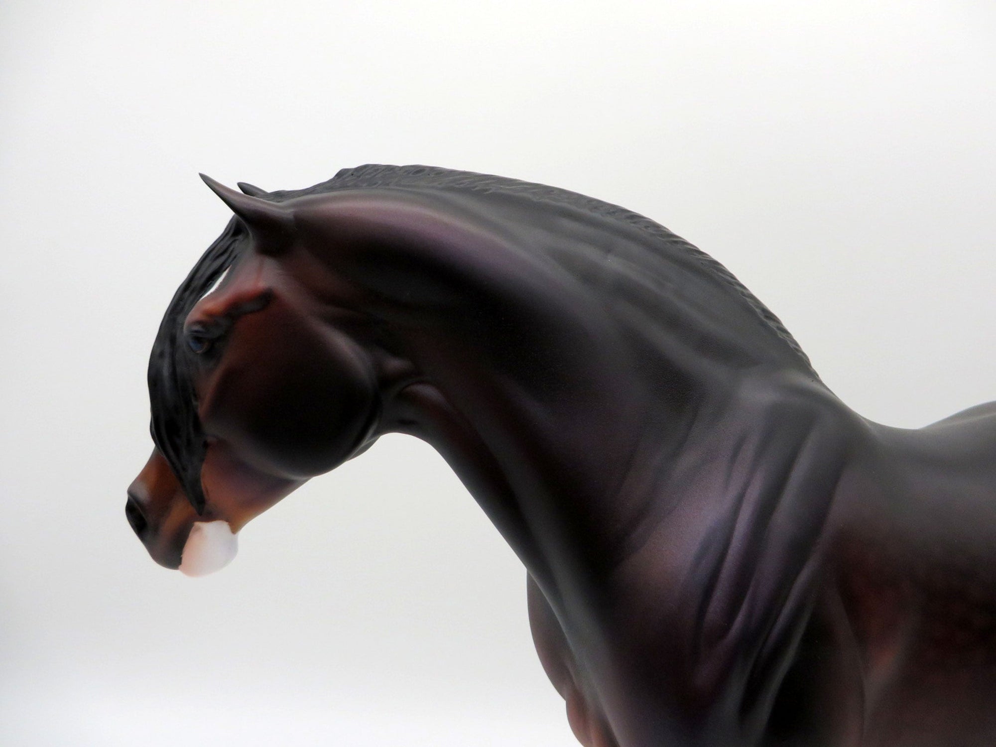 Amazon-Bay Heavy Draft Mare By Caroline Boydston 4/5/21