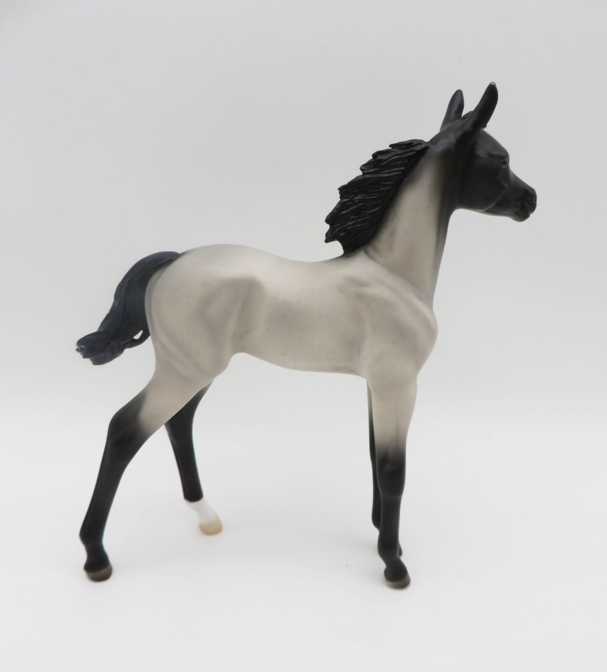 Anchovy -OOAK Roan Foal By Angela Marleau P&C 23