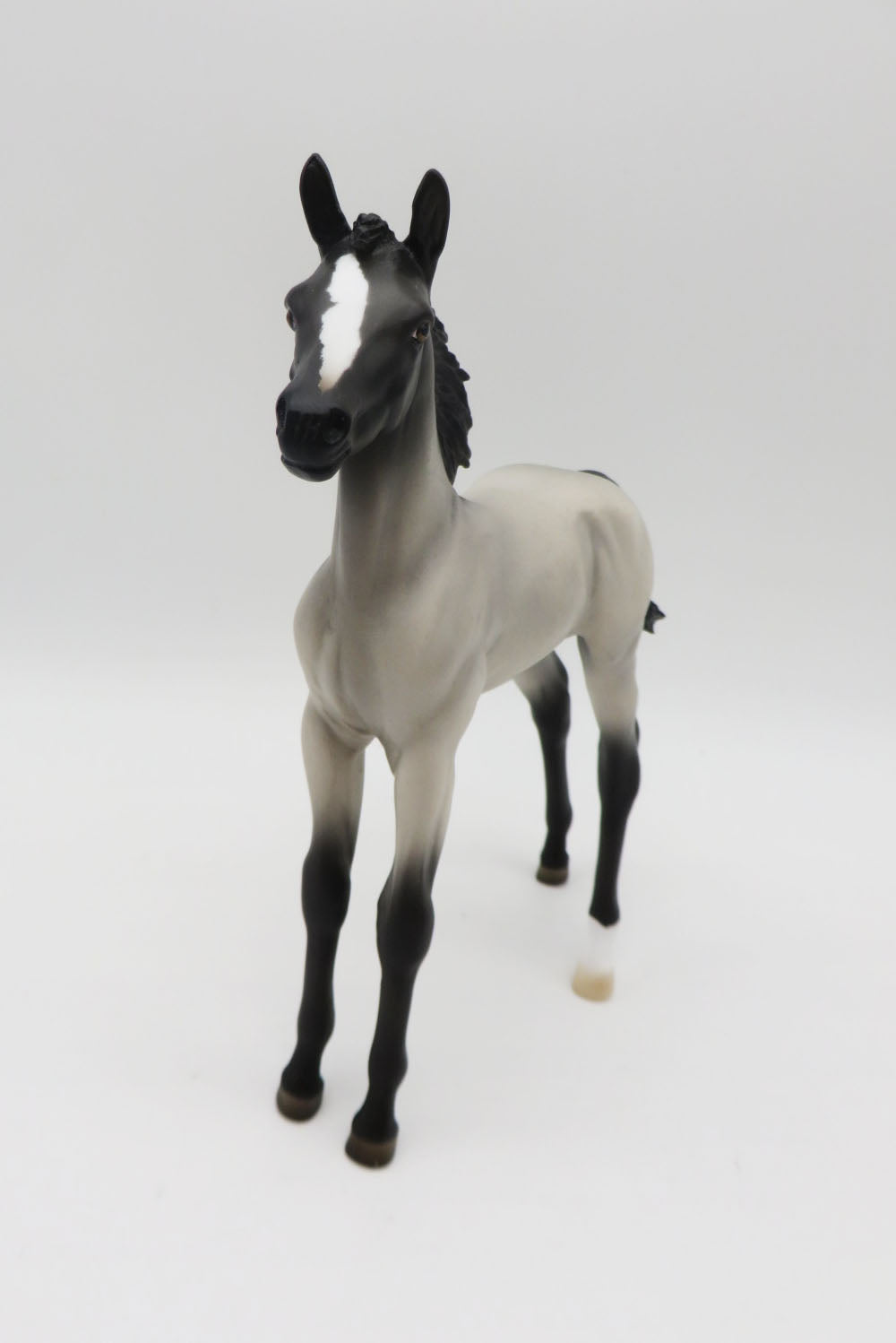 Anchovy -OOAK Roan Foal By Angela Marleau P&C 23