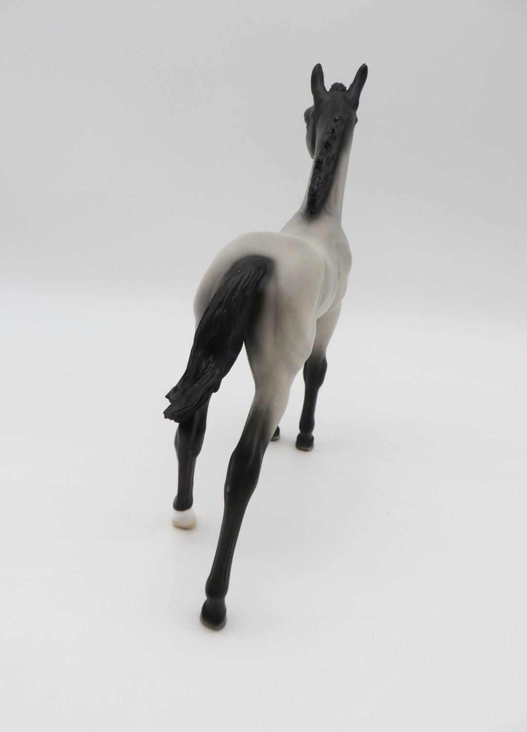 Anchovy -OOAK Roan Foal By Angela Marleau P&C 23