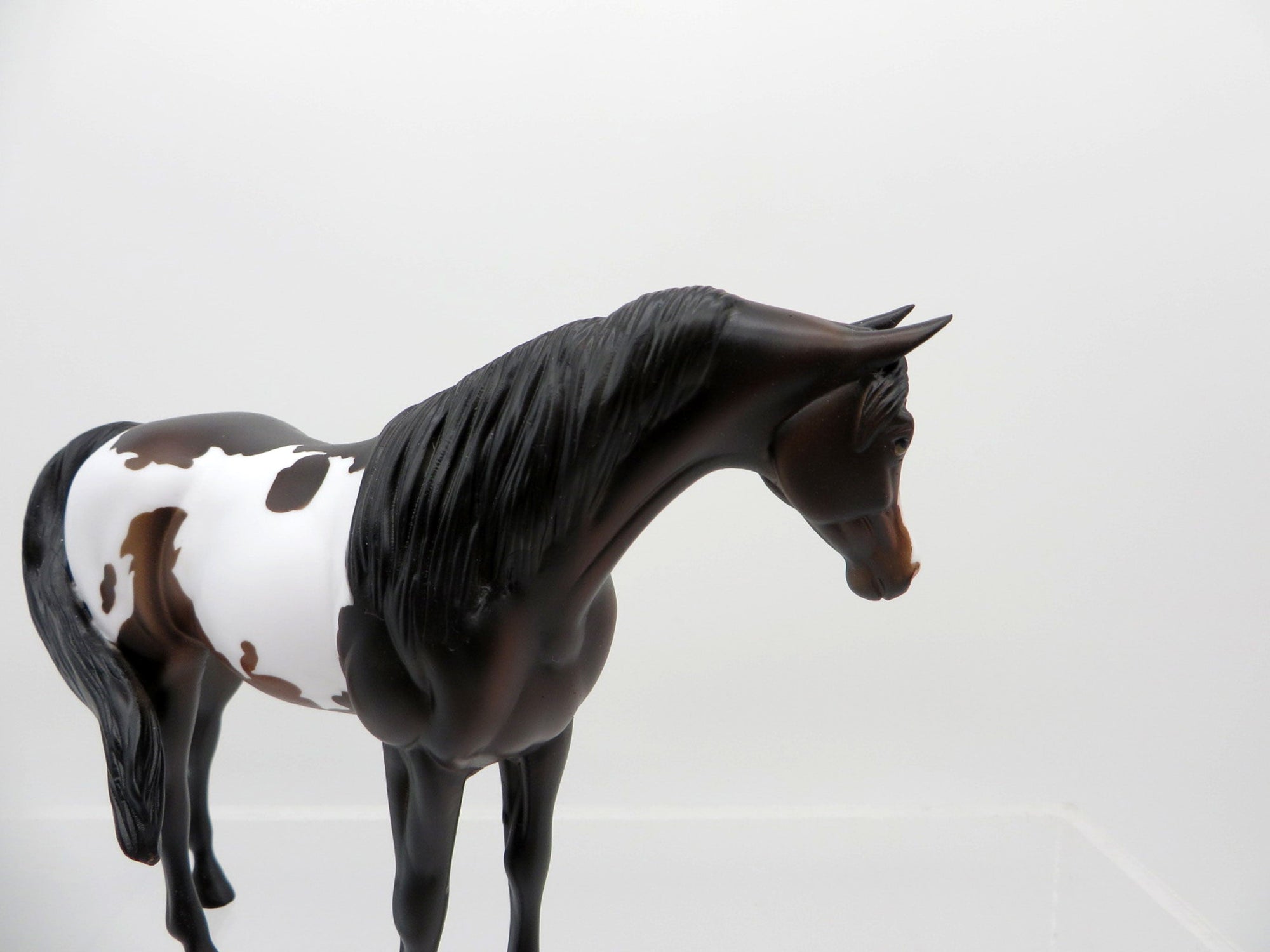 Anemone-OOAK Bay Paint Arabian Pebbles SHCF 2021