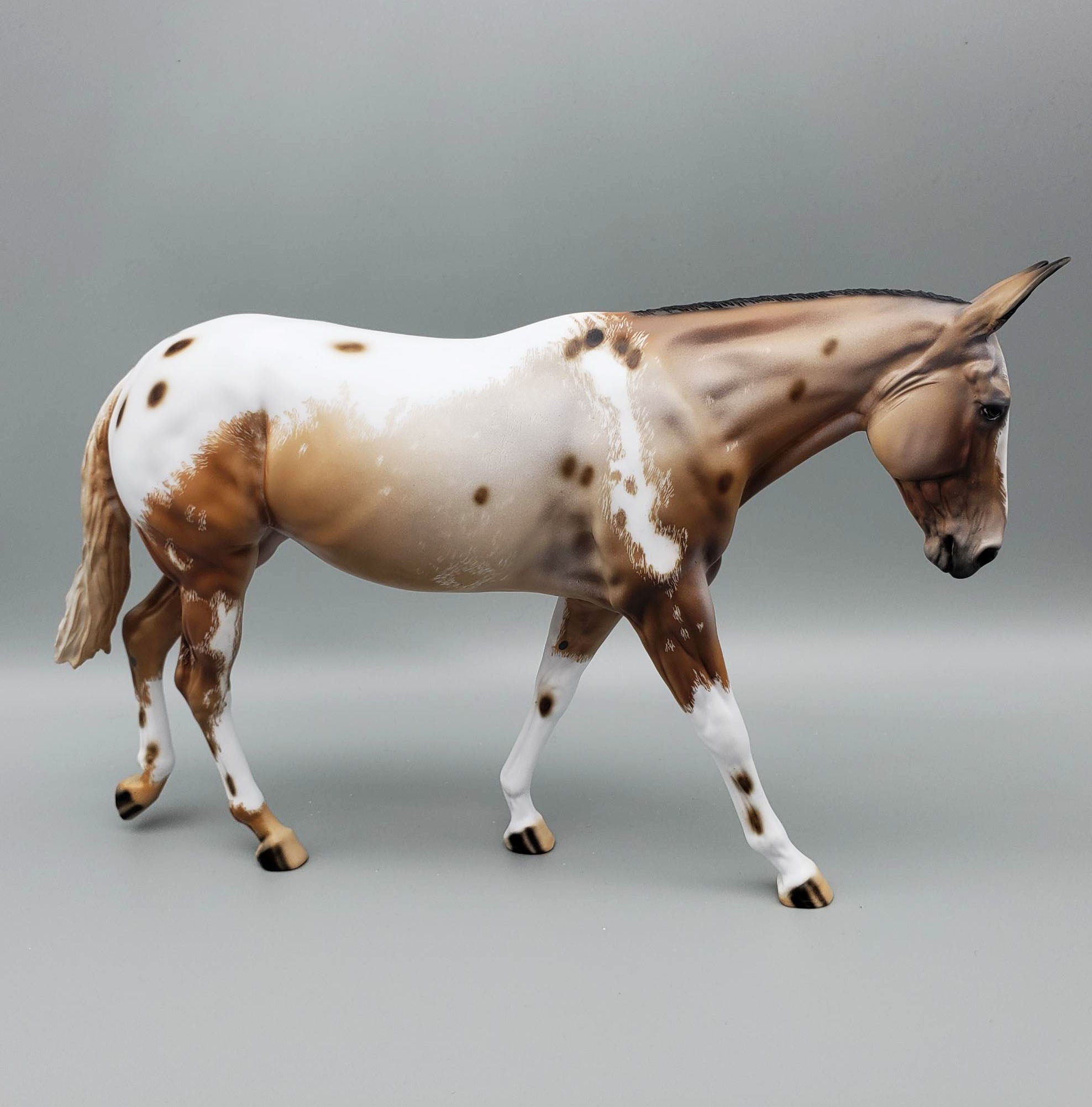 Angel - OOAK Blanket Appaloosa Mule By Dawn Quick EQ23