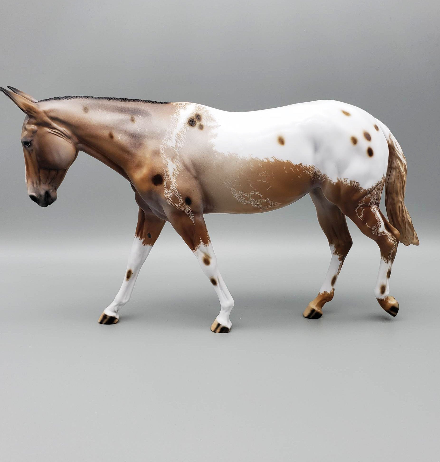 Angel - OOAK Blanket Appaloosa Mule By Dawn Quick EQ23