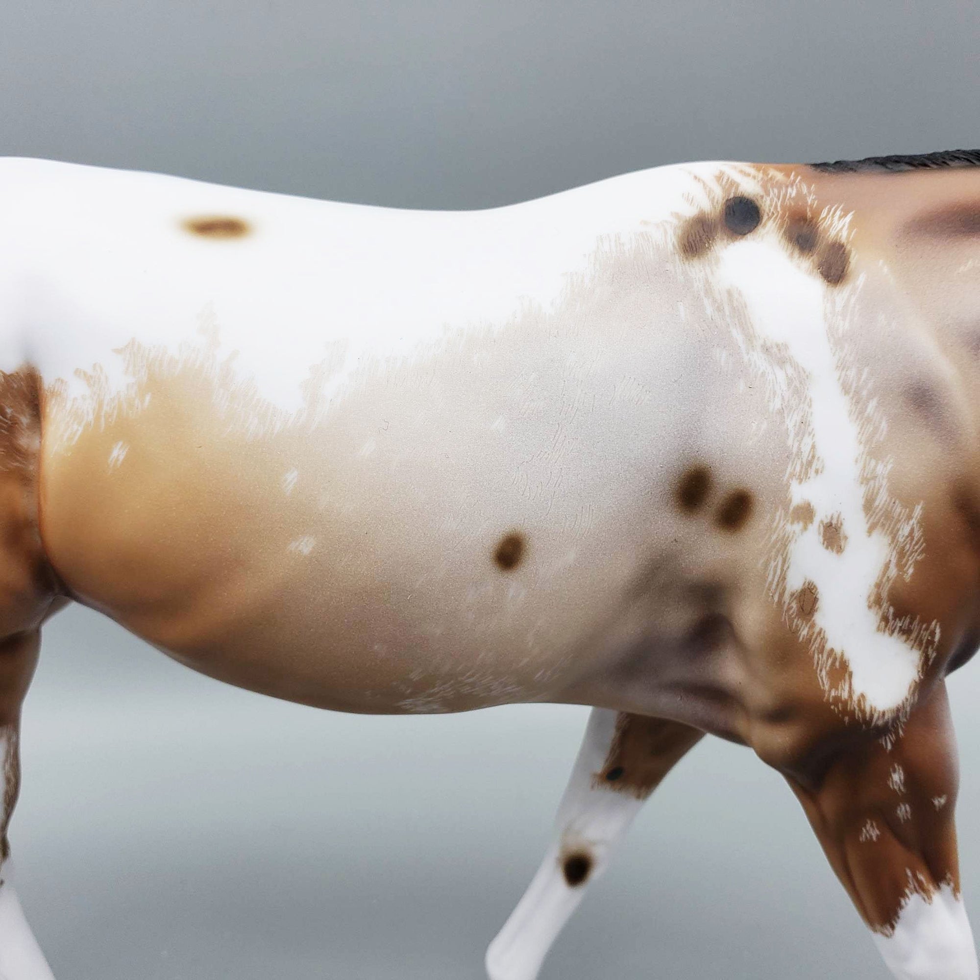 Angel - OOAK Blanket Appaloosa Mule By Dawn Quick EQ23