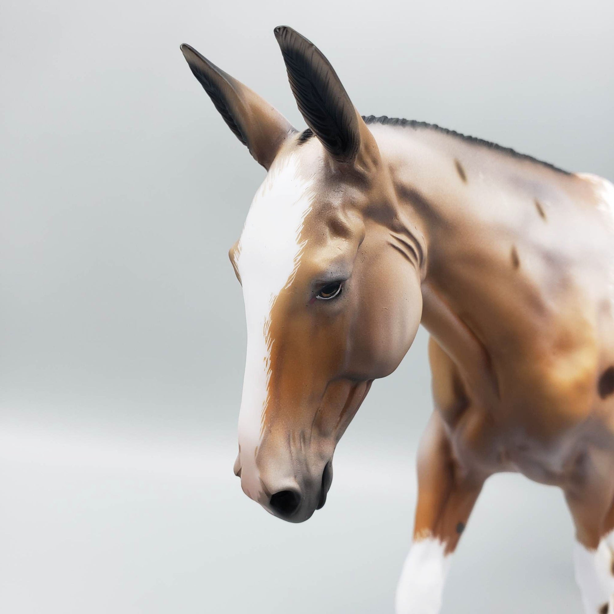 Angel - OOAK Blanket Appaloosa Mule By Dawn Quick EQ23