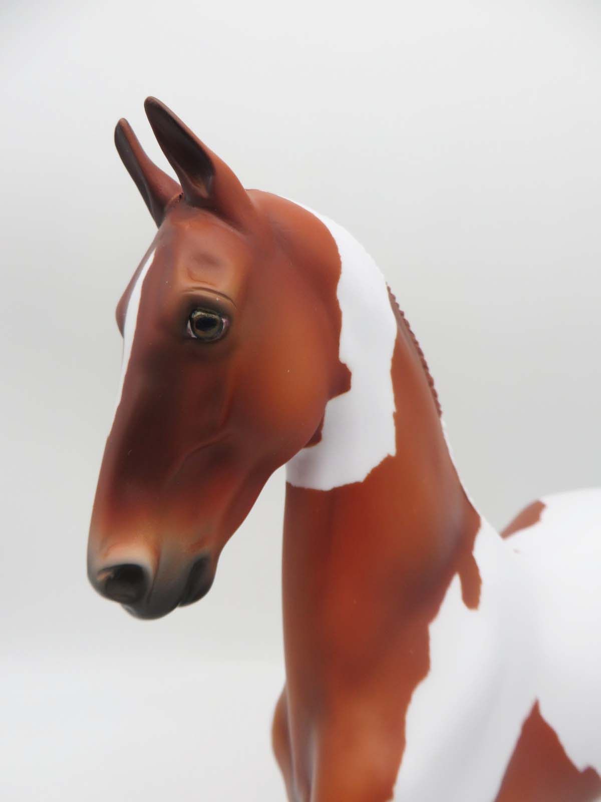 Angel Wings OOAK Chestnut Tobiano Saddlebred By Angela Marleau SHCF23